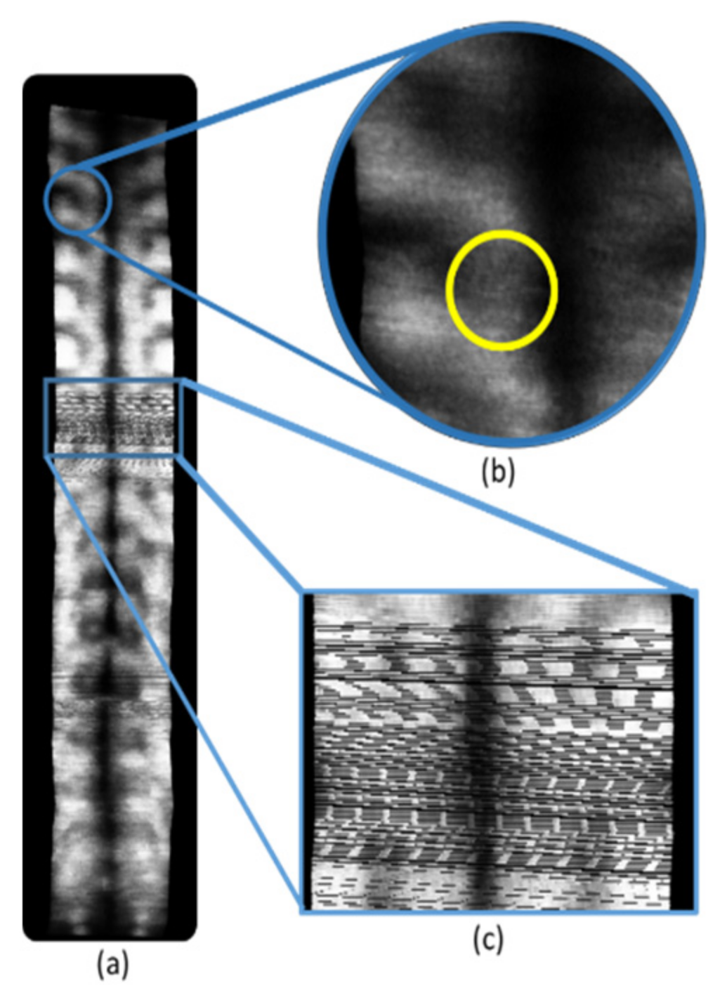 Applsci 11 10180 g001 Applsci 11 10180 g001