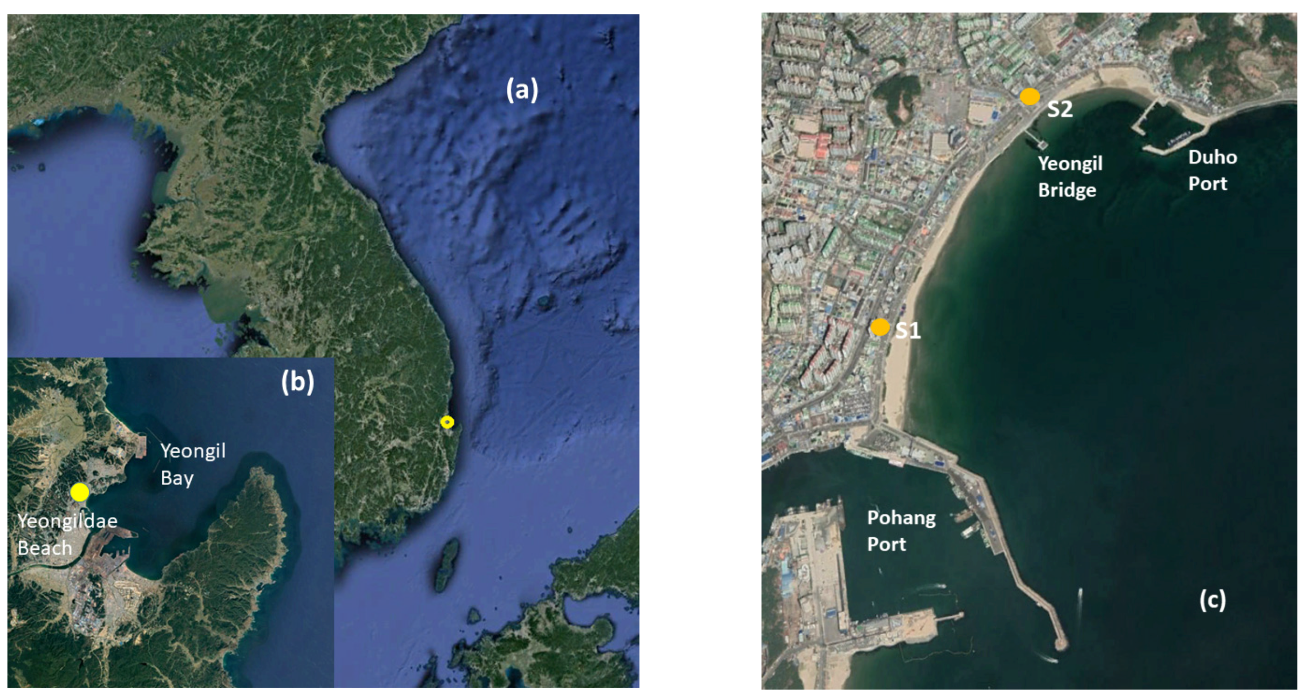 Applsci 11 10195 g001