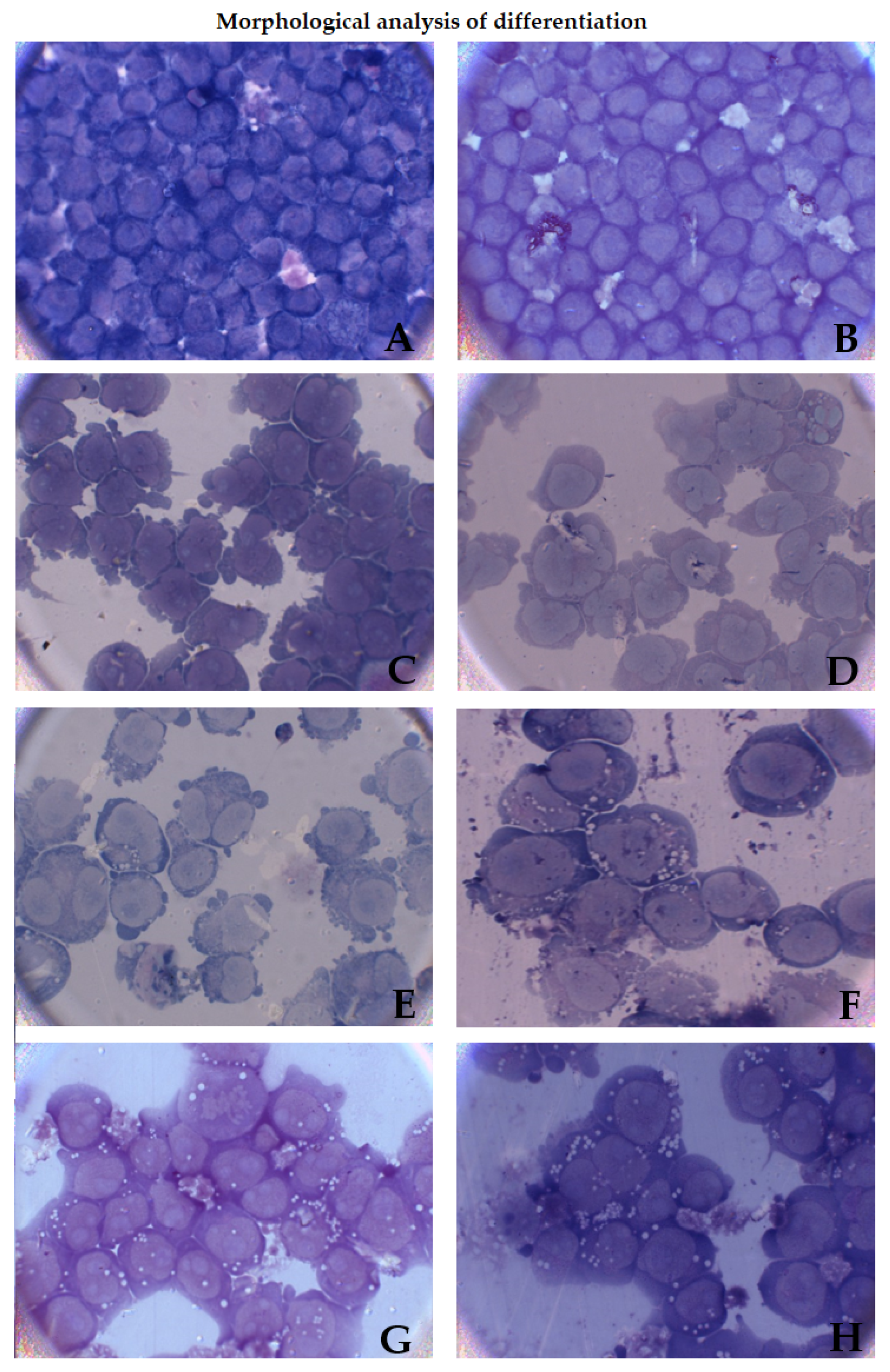 Applsci 11 10199 g004