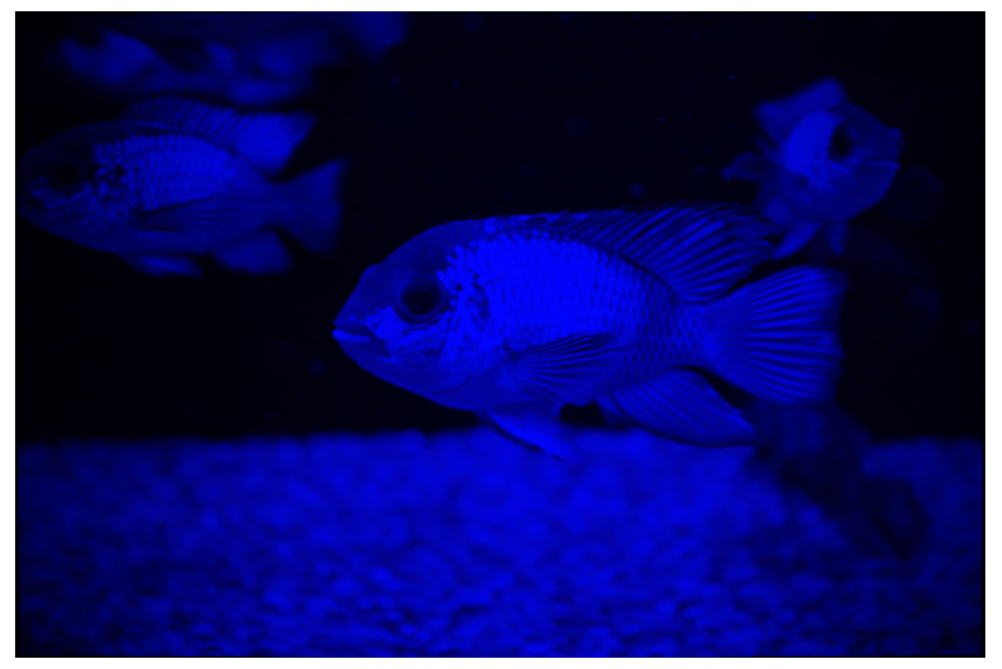 Applsci 11 10200 g020