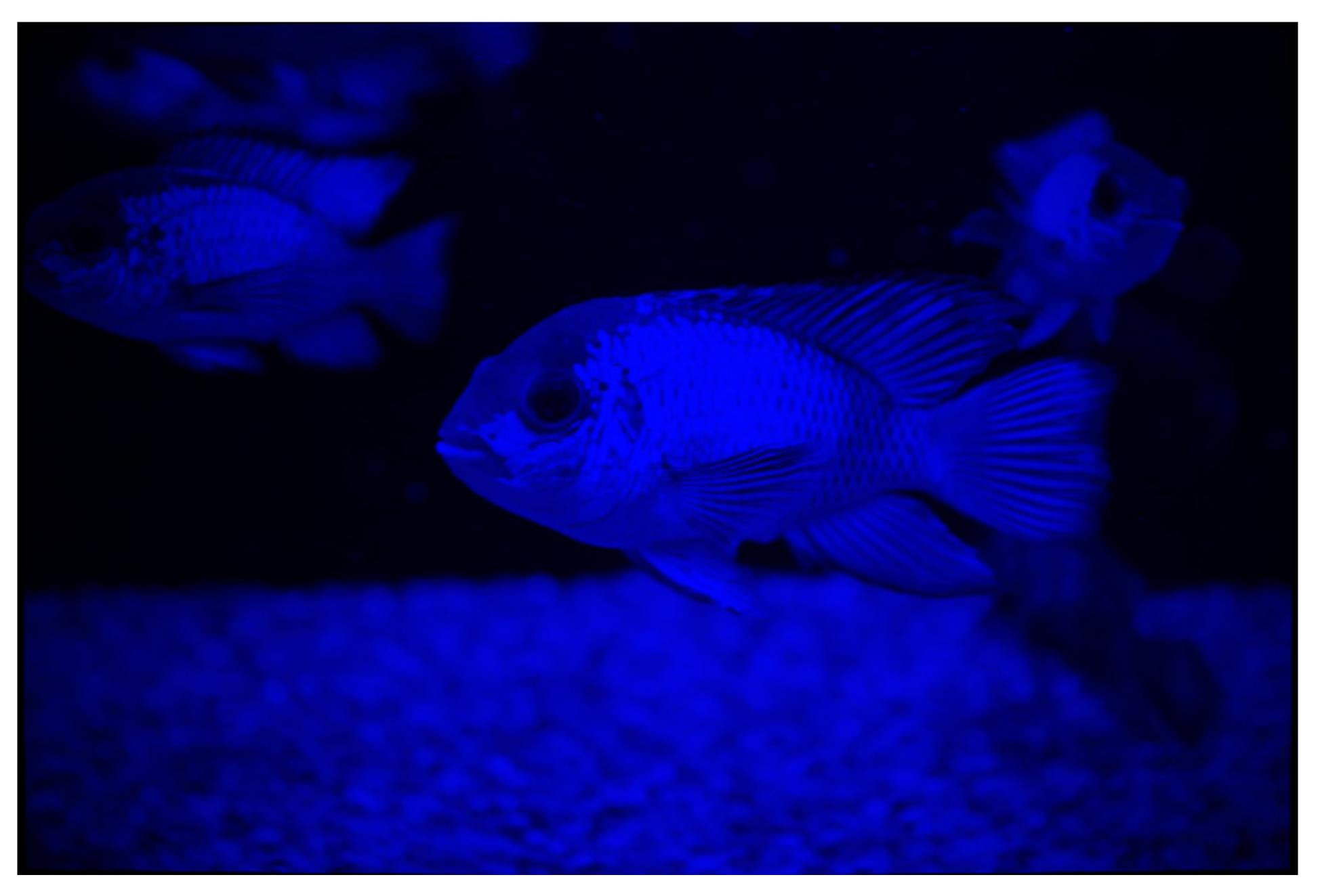 Applsci 11 10200 g022