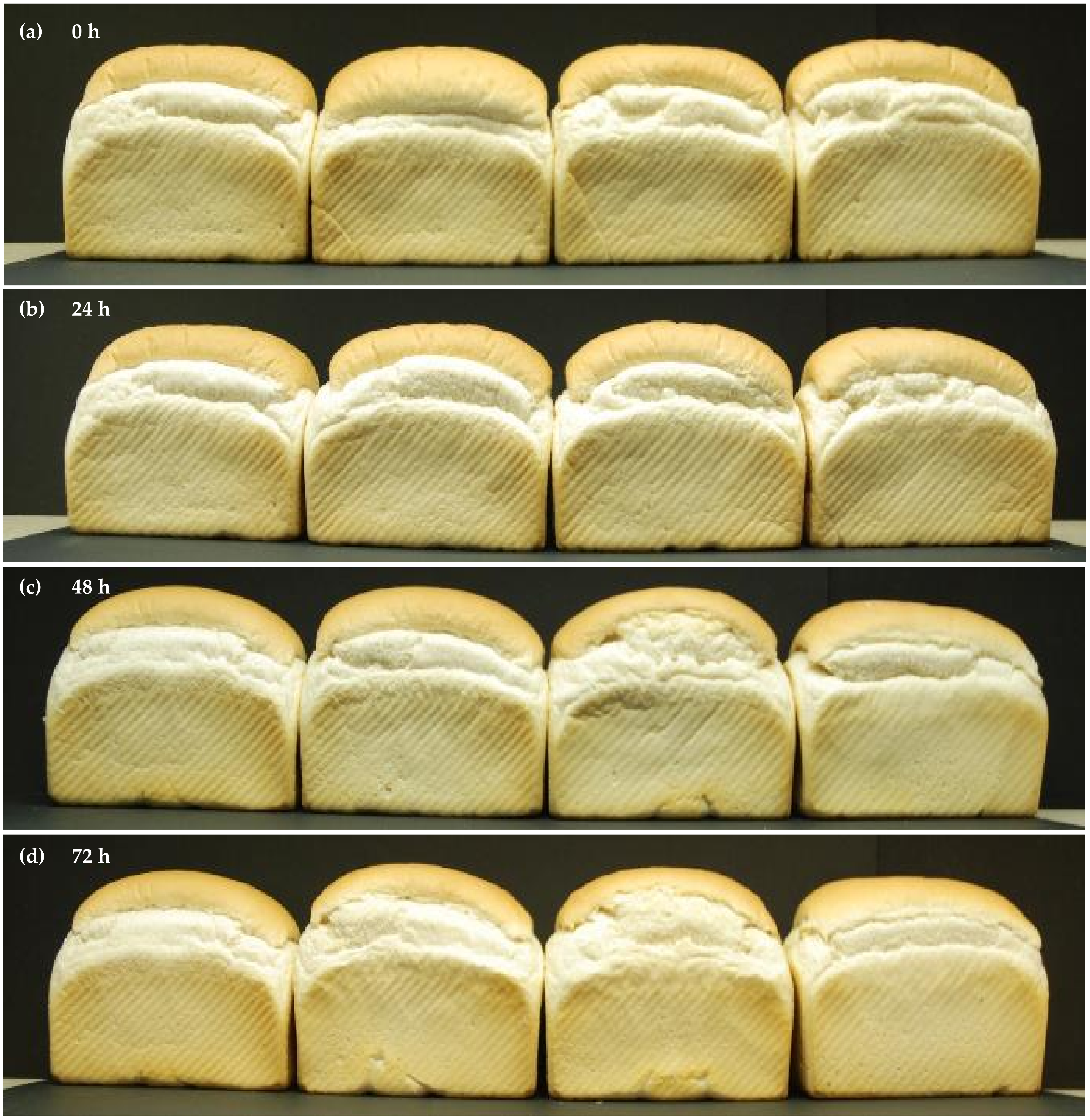 Applsci 11 10203 g004