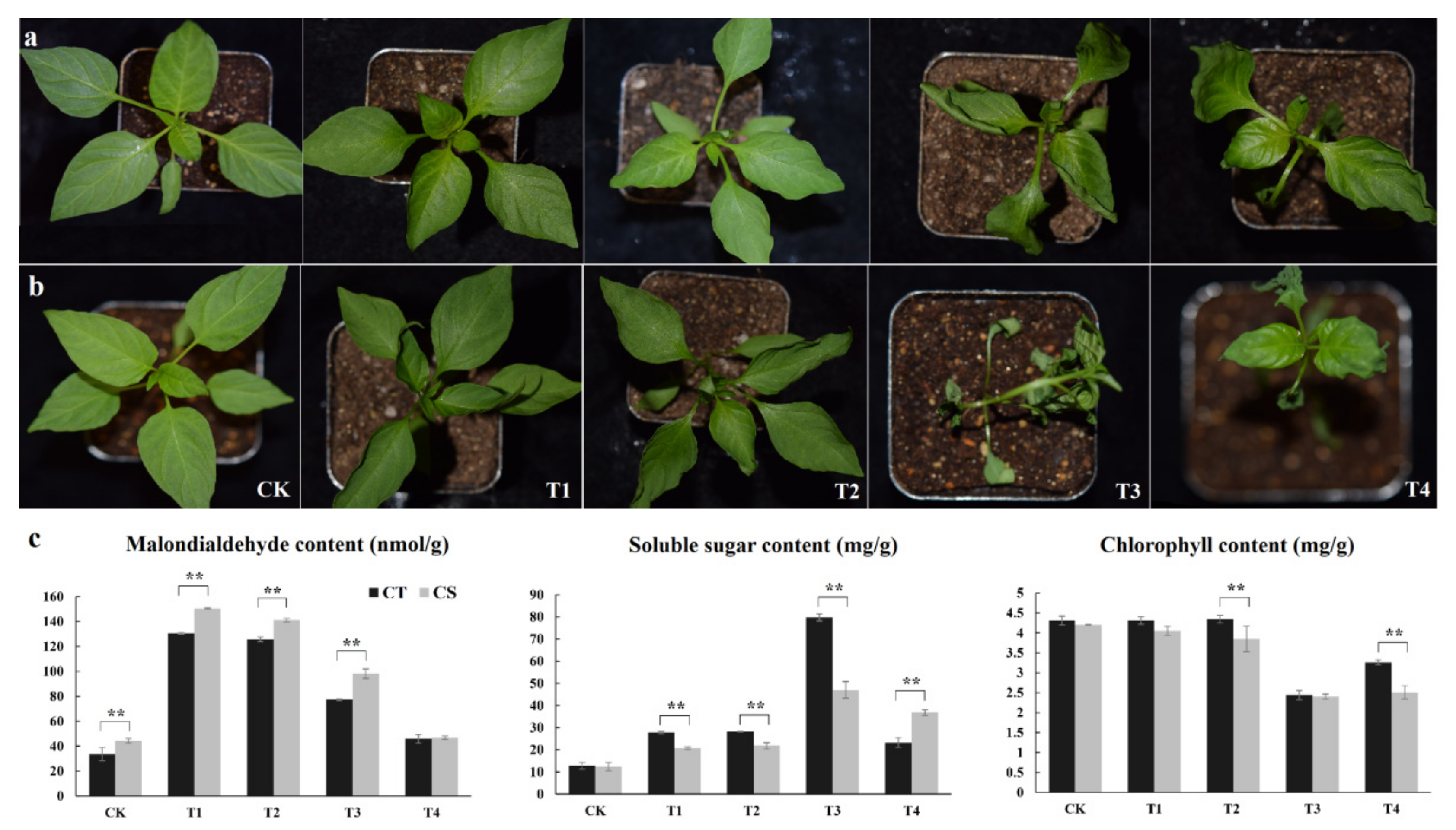 Applsci 11 10204 g001