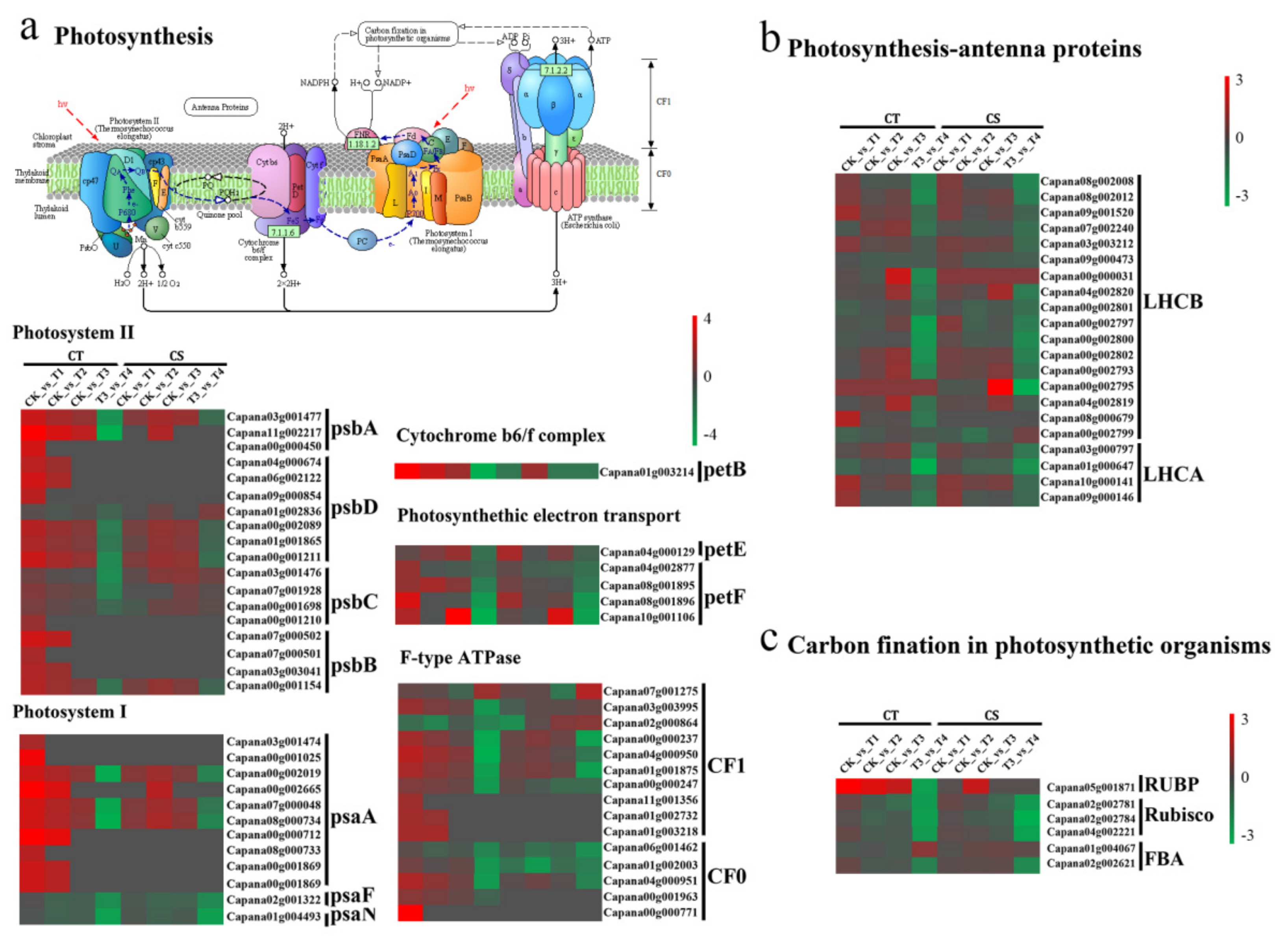 Applsci 11 10204 g004