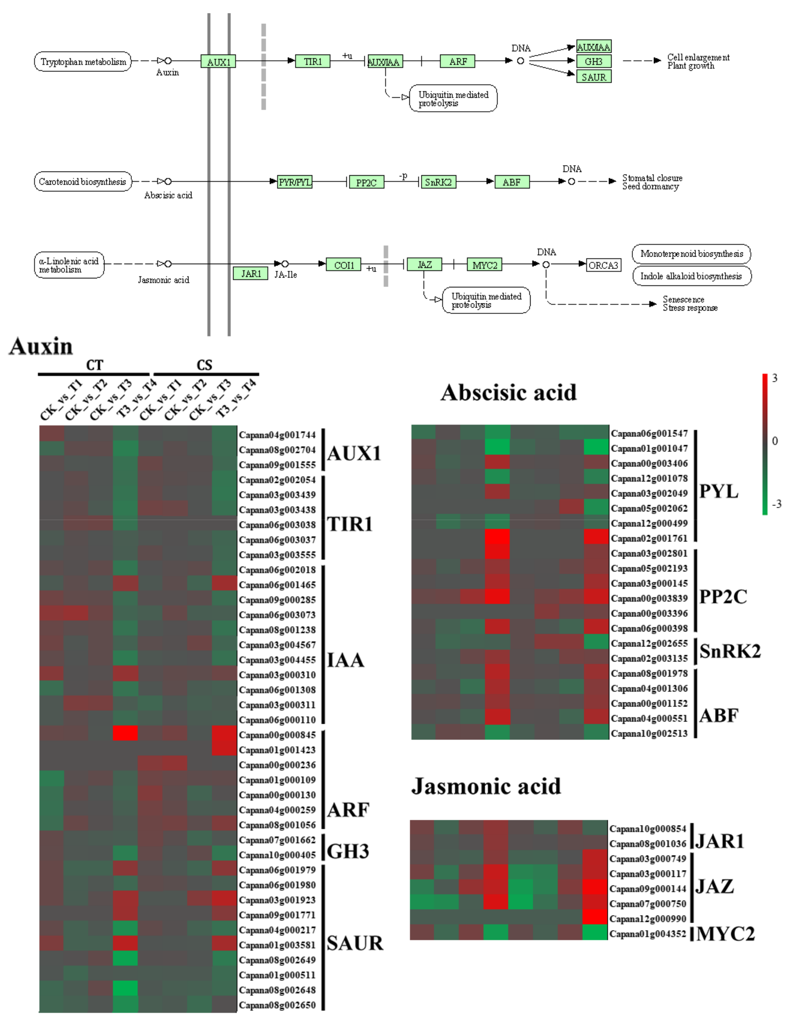 Applsci 11 10204 g005