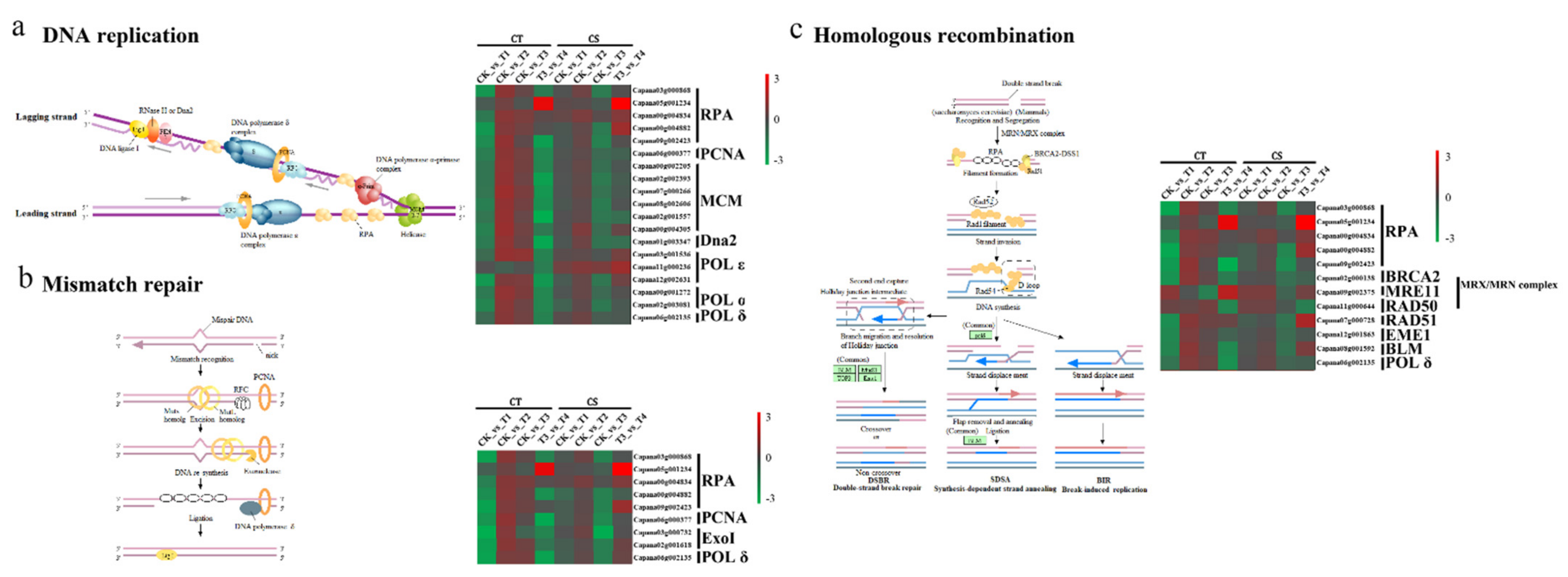 Applsci 11 10204 g006