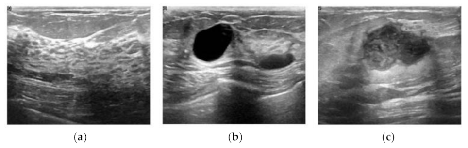 Applsci 11 10216 g001