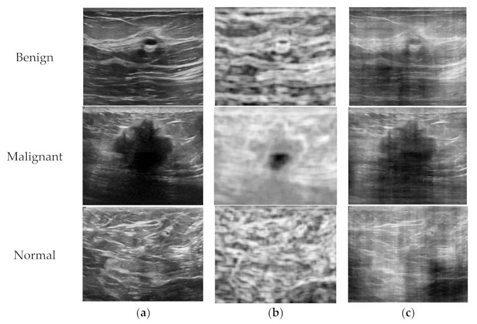 Applsci 11 10216 g002