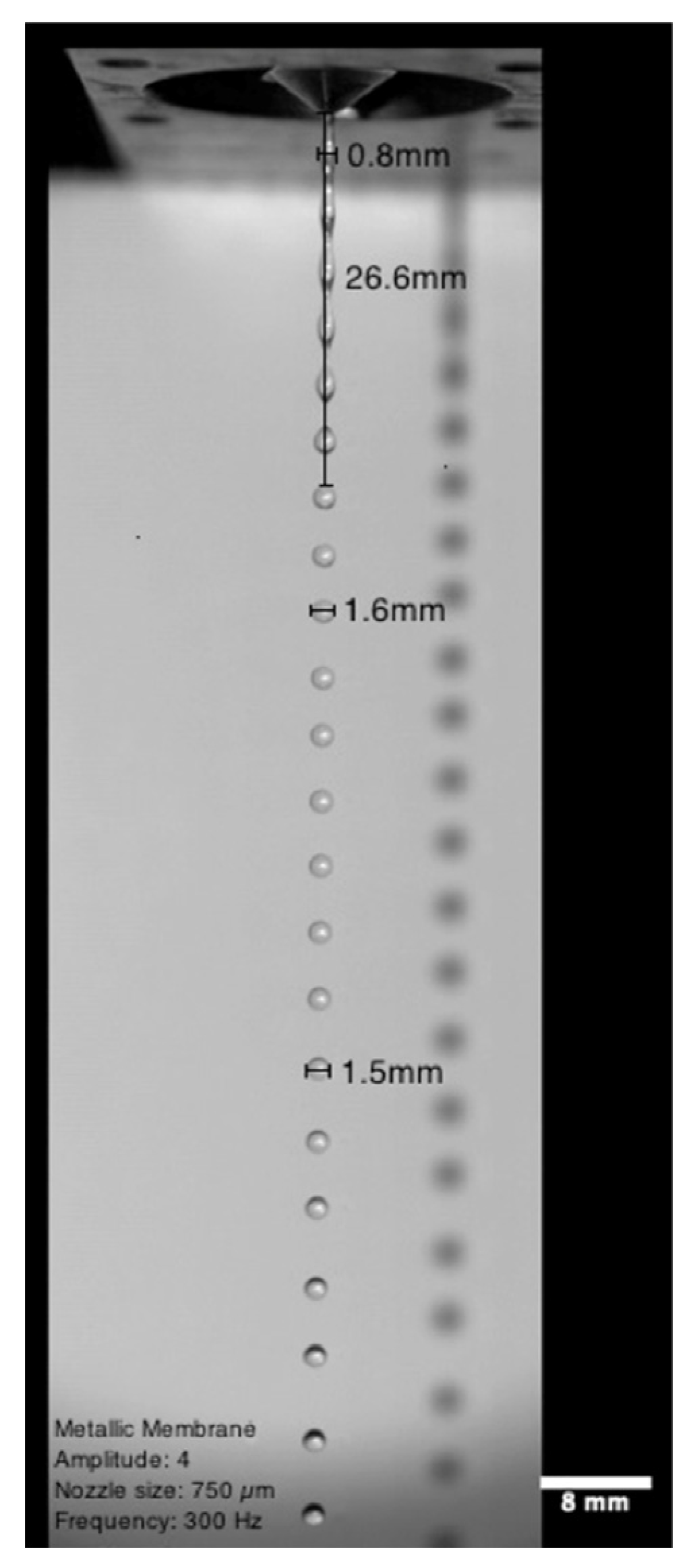 Applsci 11 10222 g002