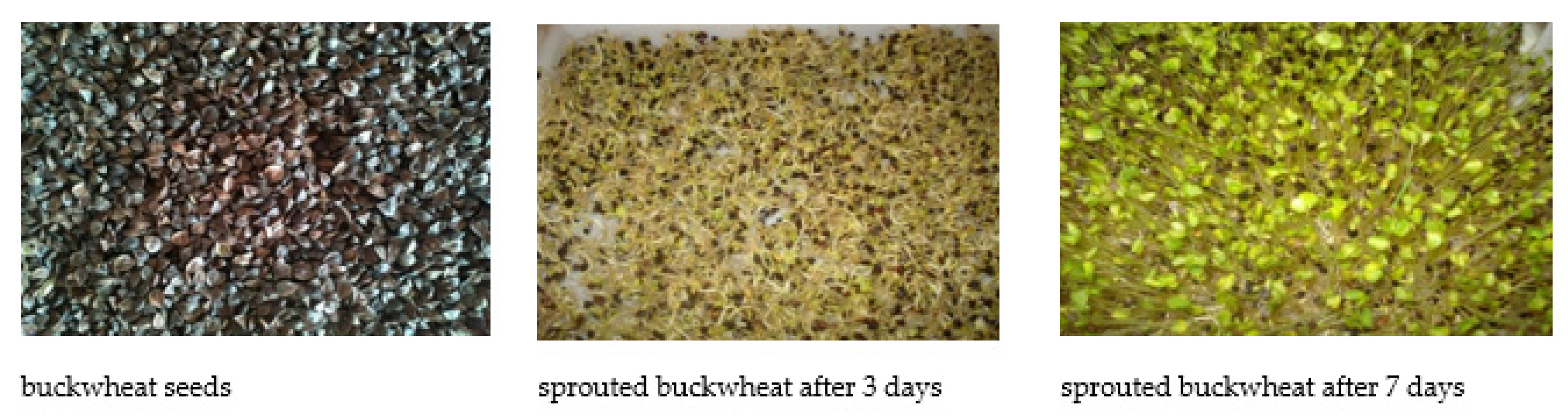 Applsci 11 10230 g002