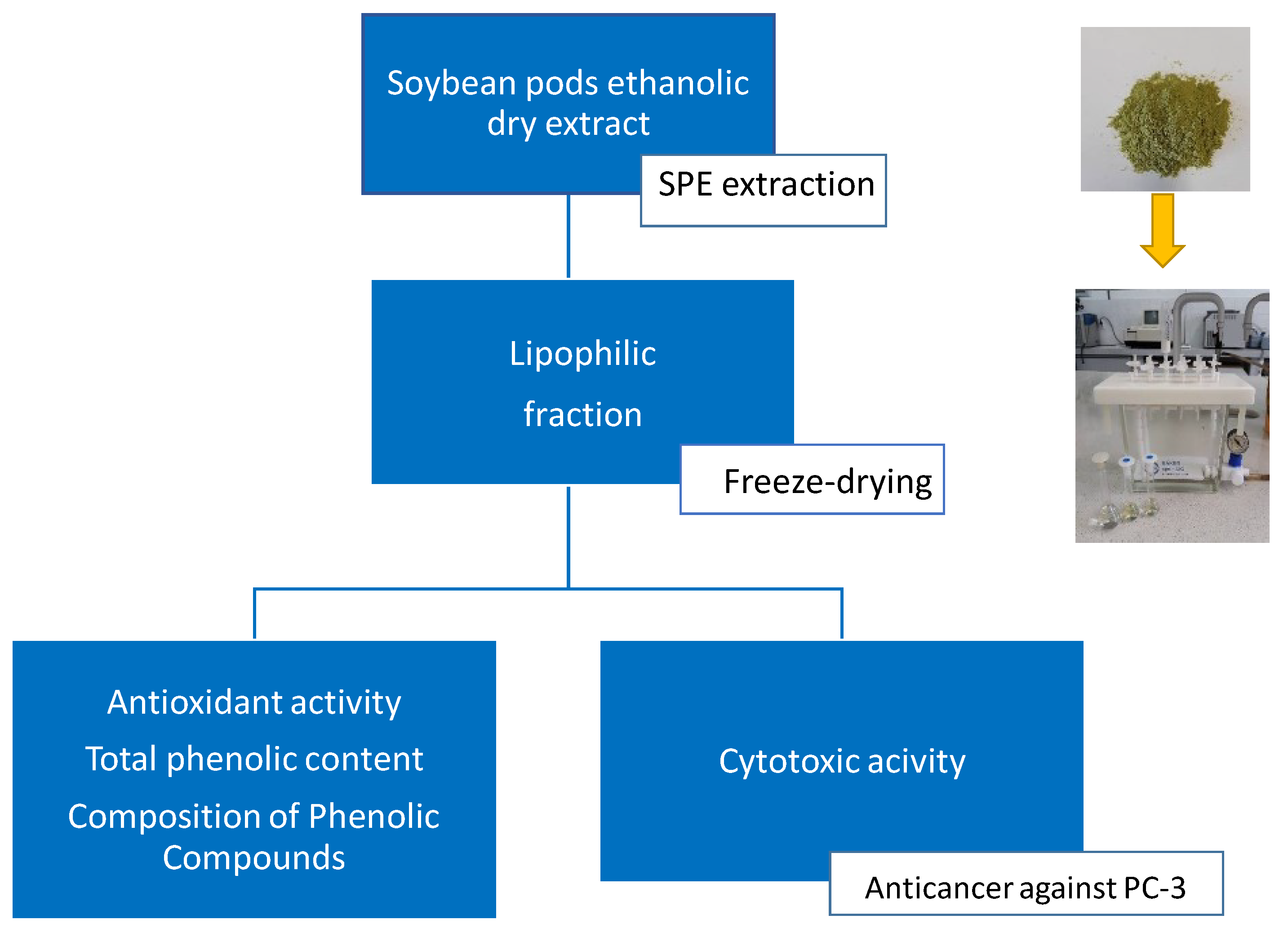 Applsci 11 10233 g001