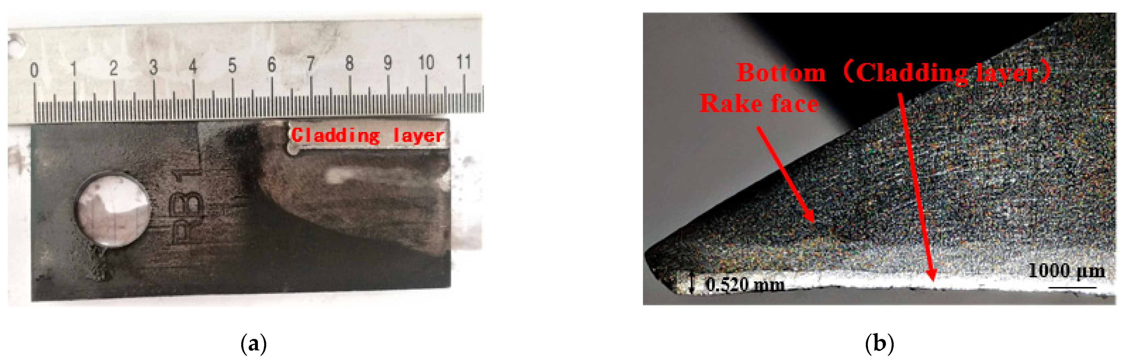 Applsci 11 10236 g001