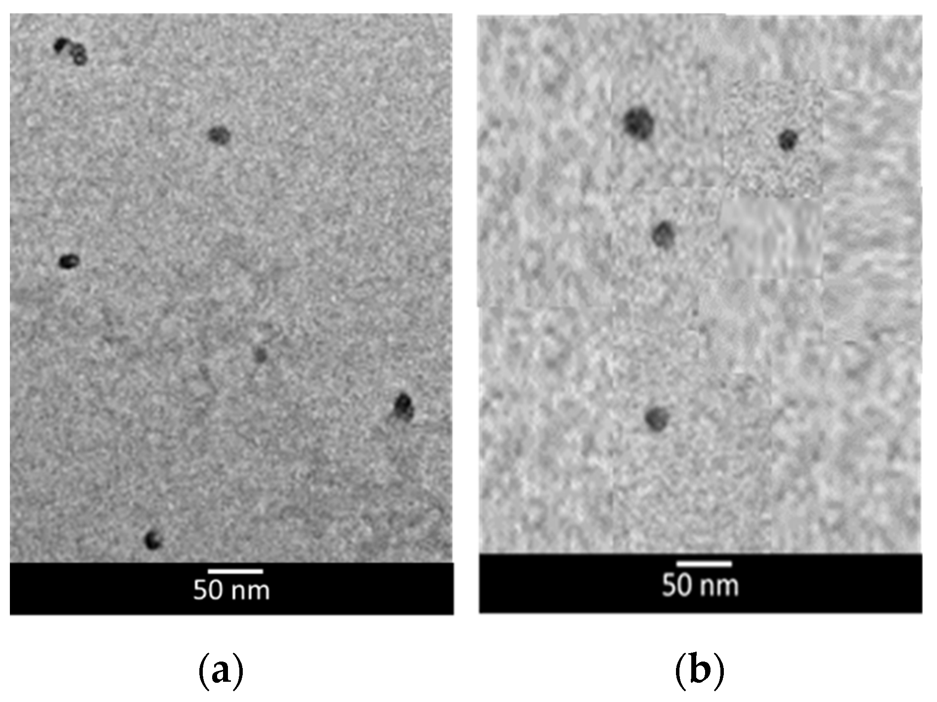 Applsci 11 10250 g003
