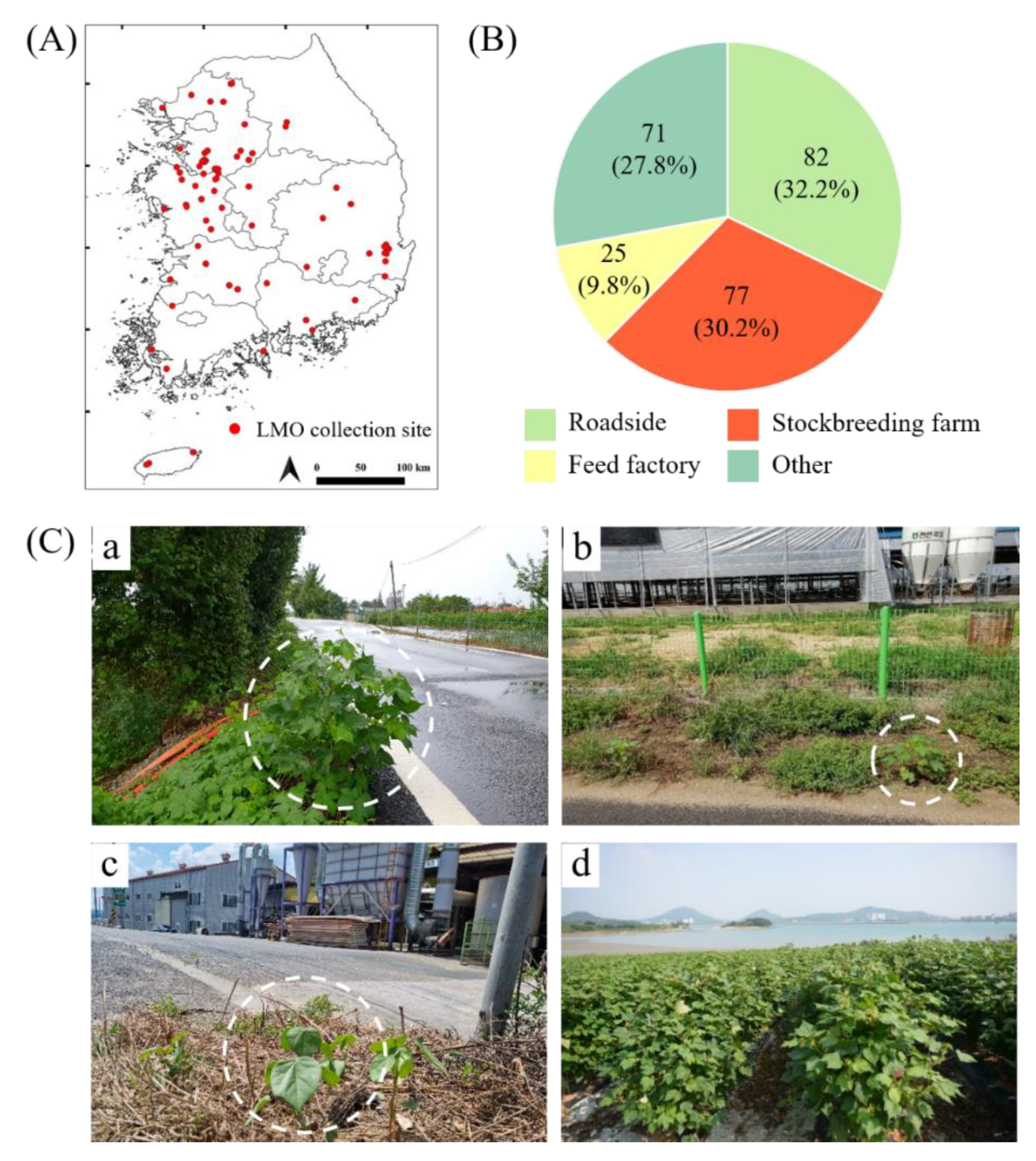 Applsci 11 10259 g004