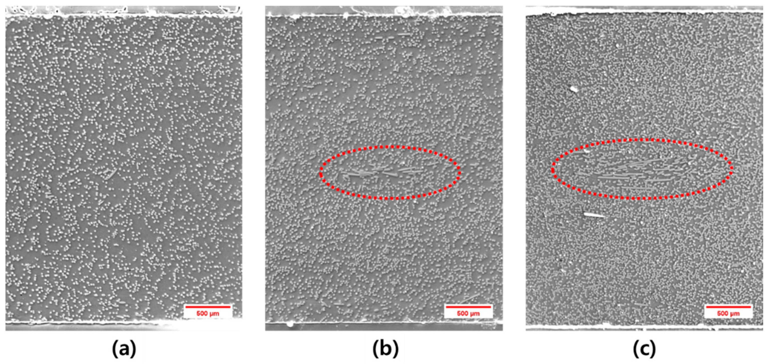 Applsci 11 10266 g002