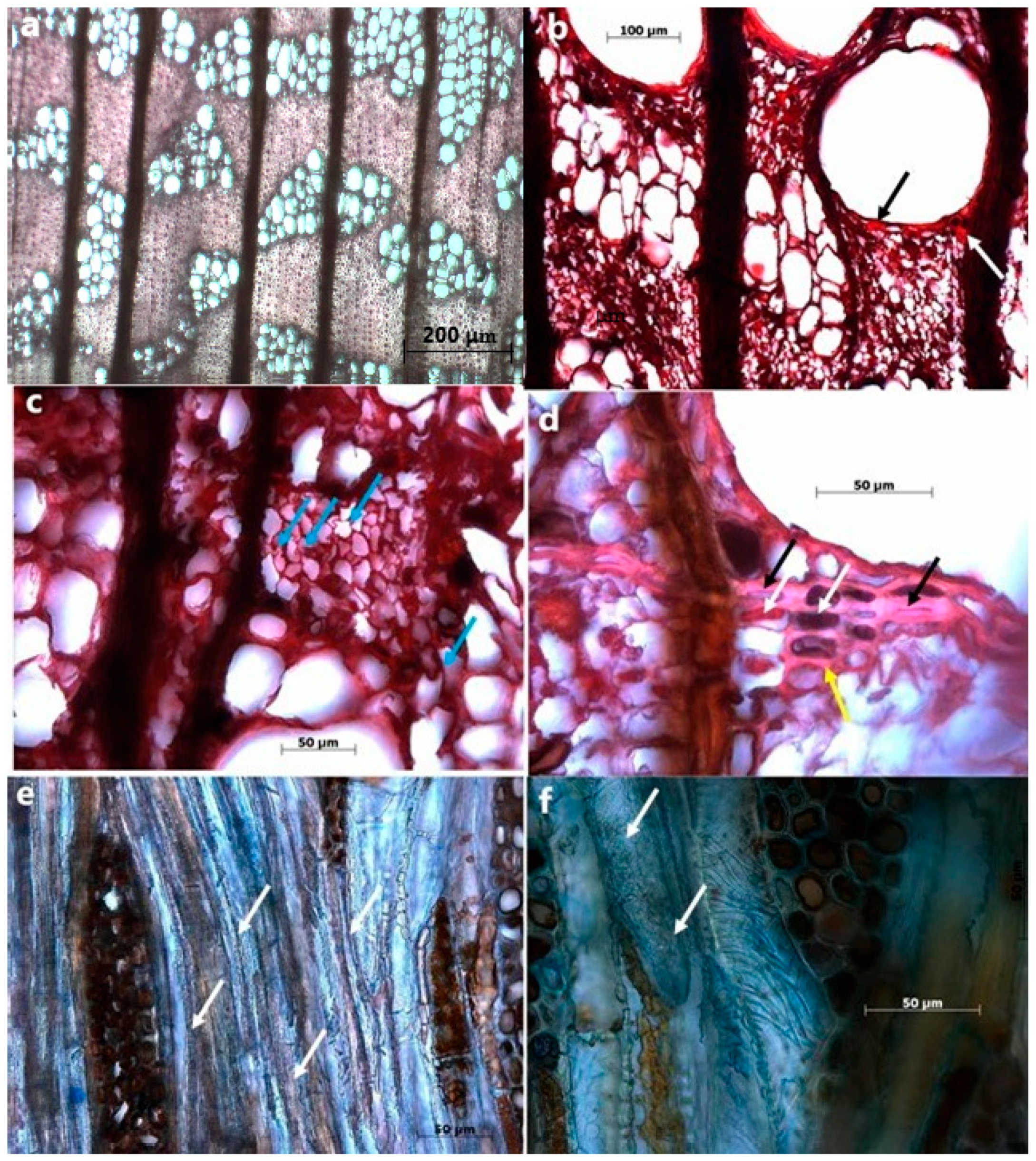 Applsci 11 10271 g003