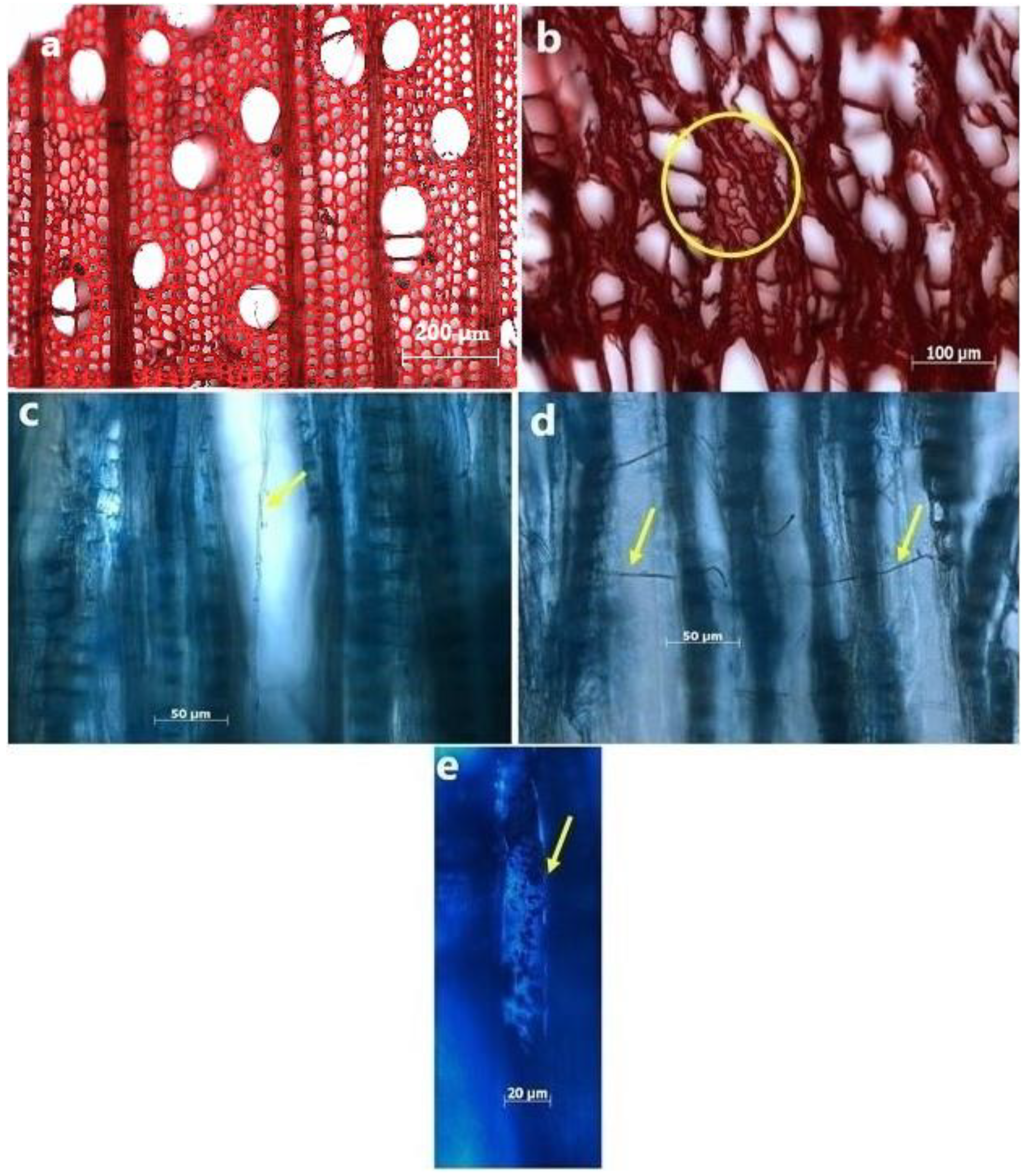 Applsci 11 10271 g004