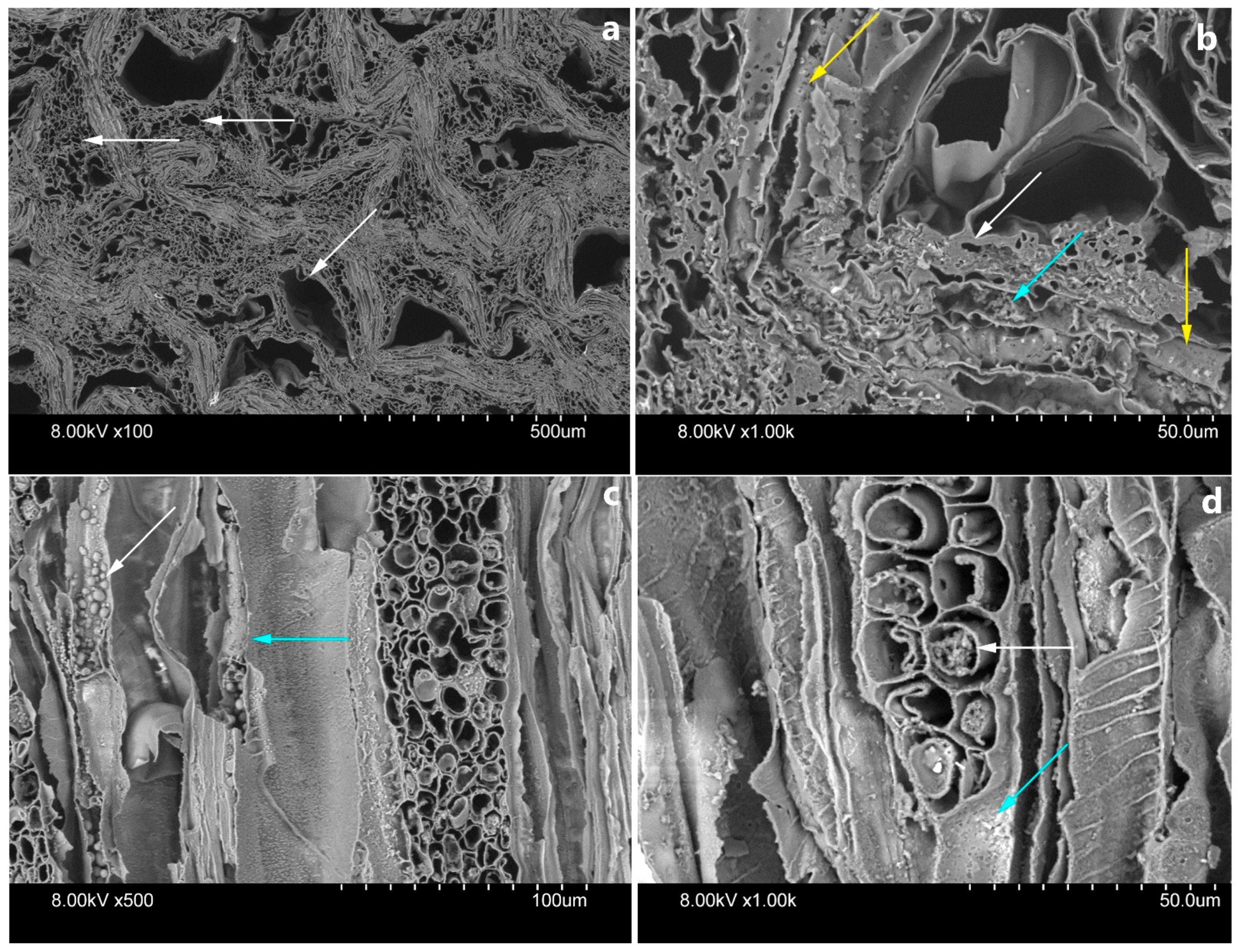 Applsci 11 10271 g005