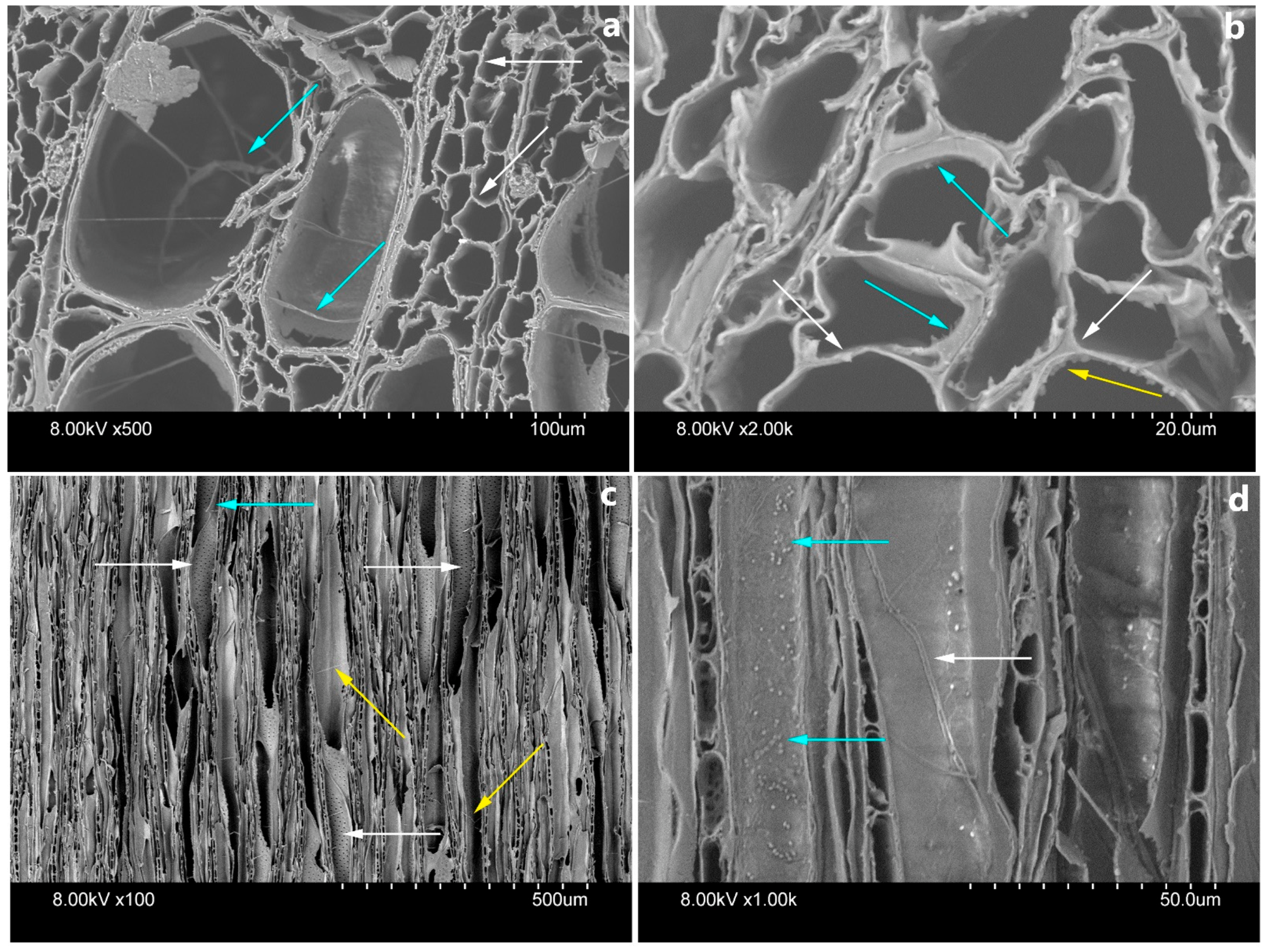 Applsci 11 10271 g006