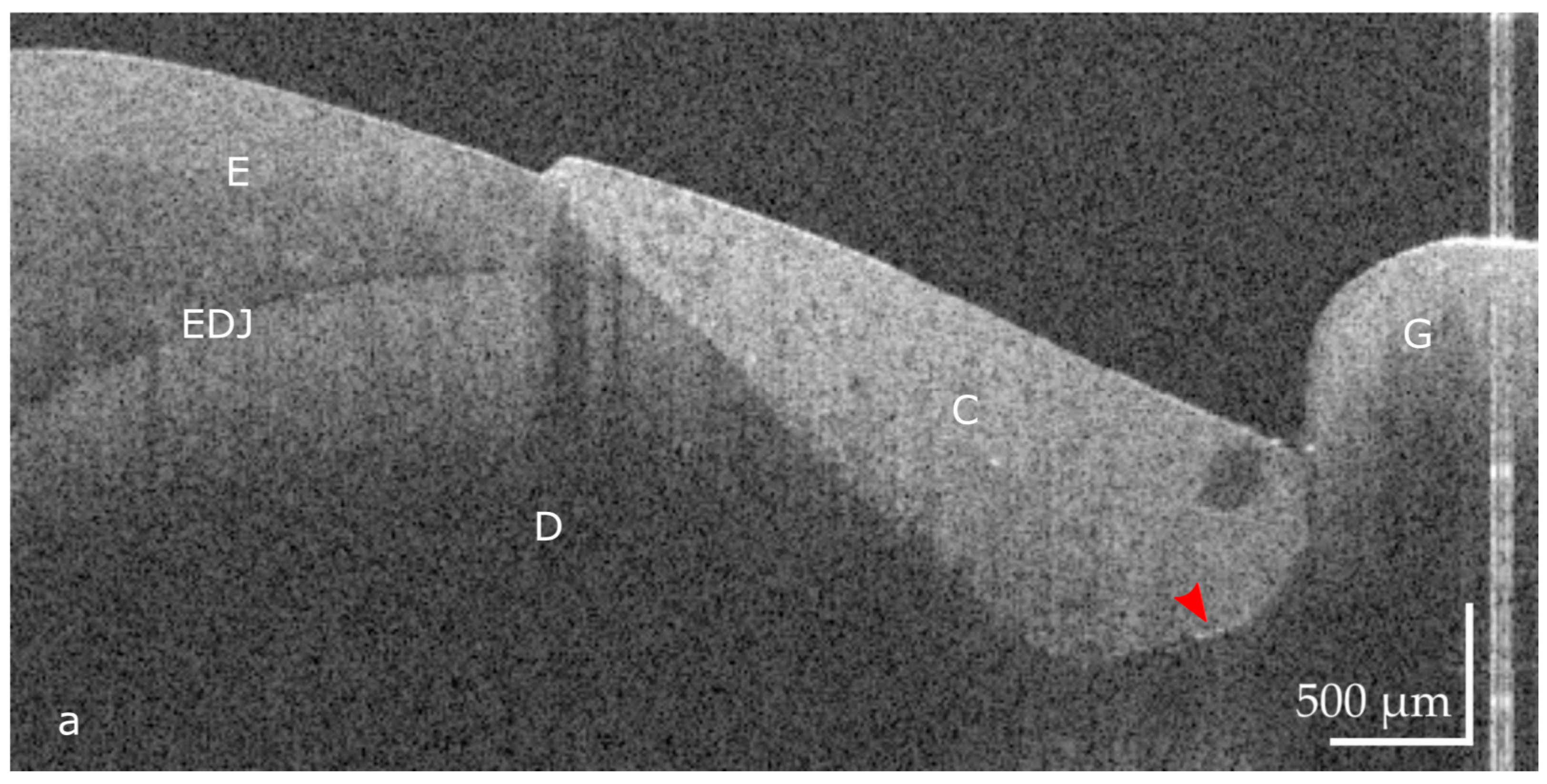 Applsci 11 10285 g001a