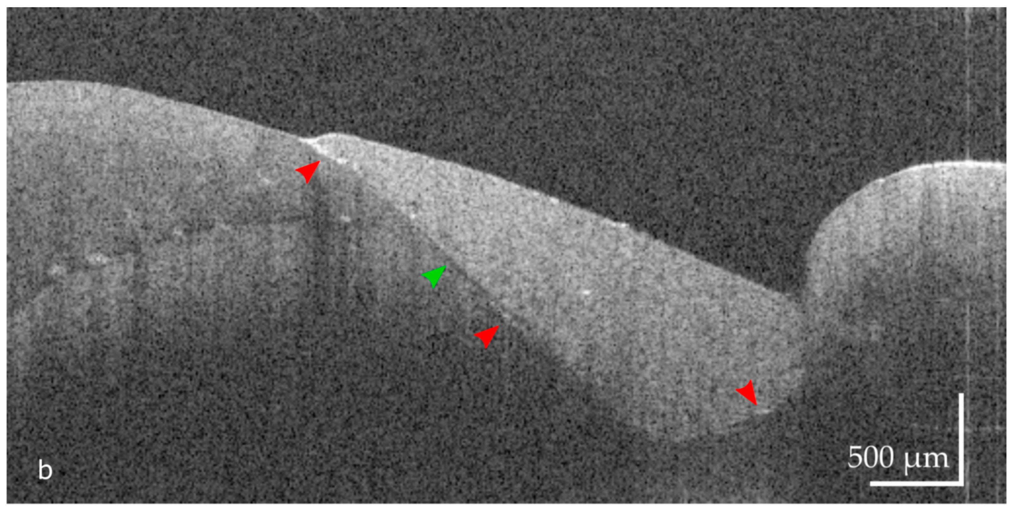 Applsci 11 10285 g001b