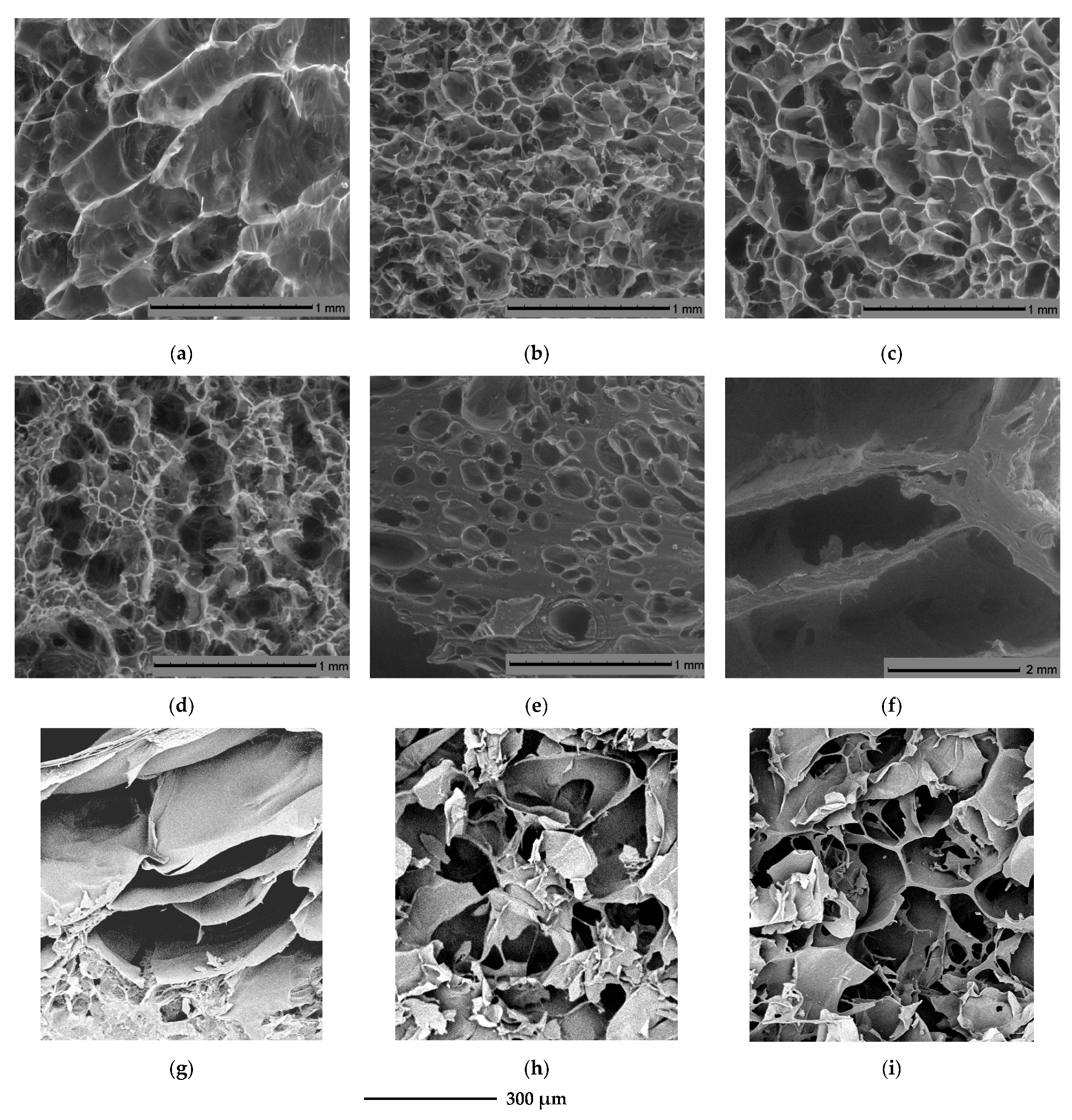 Applsci 11 10286 g004