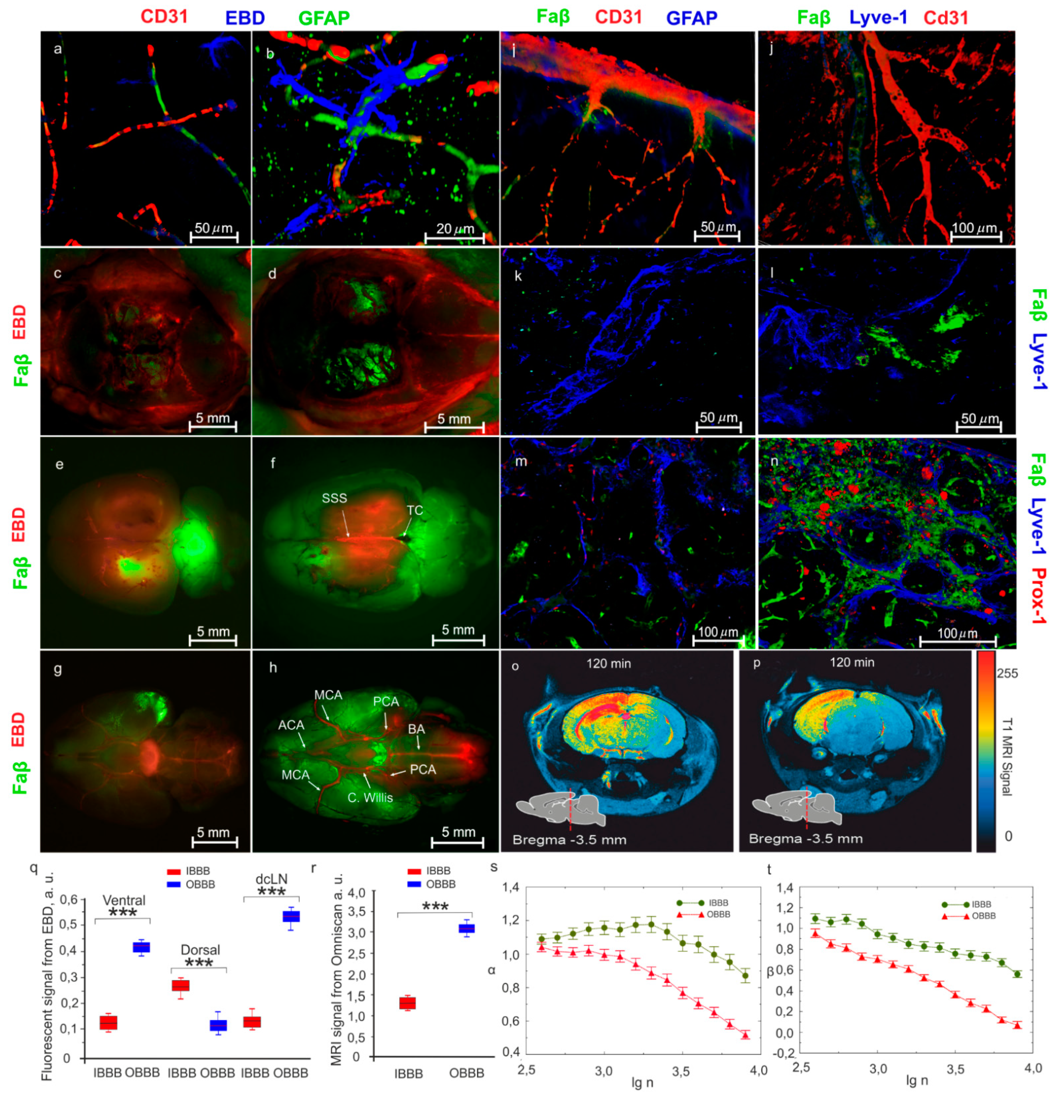 Applsci 11 10287 g001
