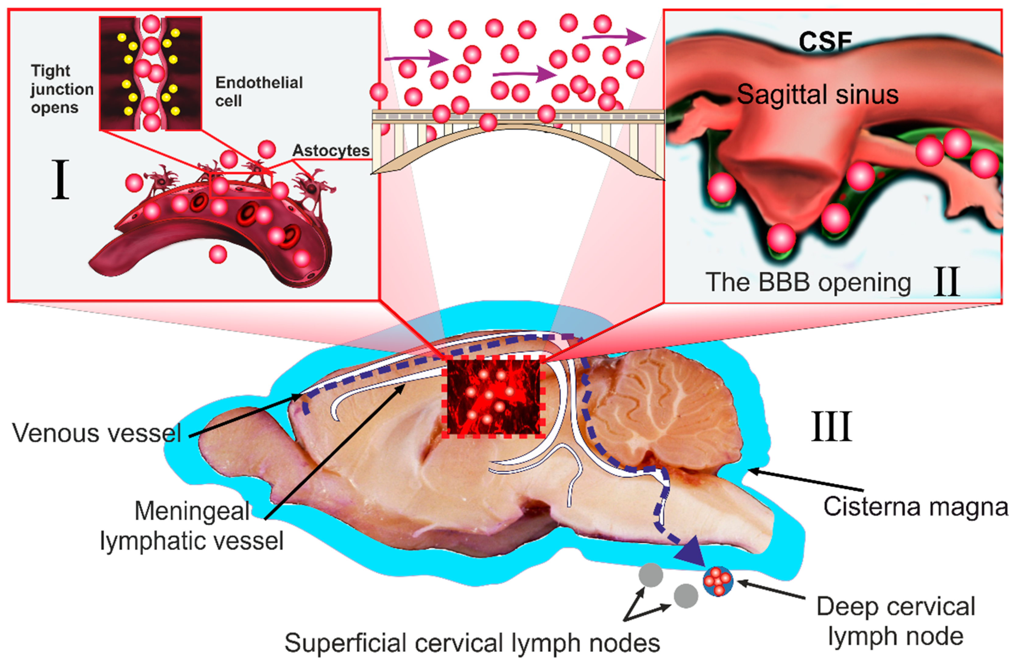 Applsci 11 10287 g002