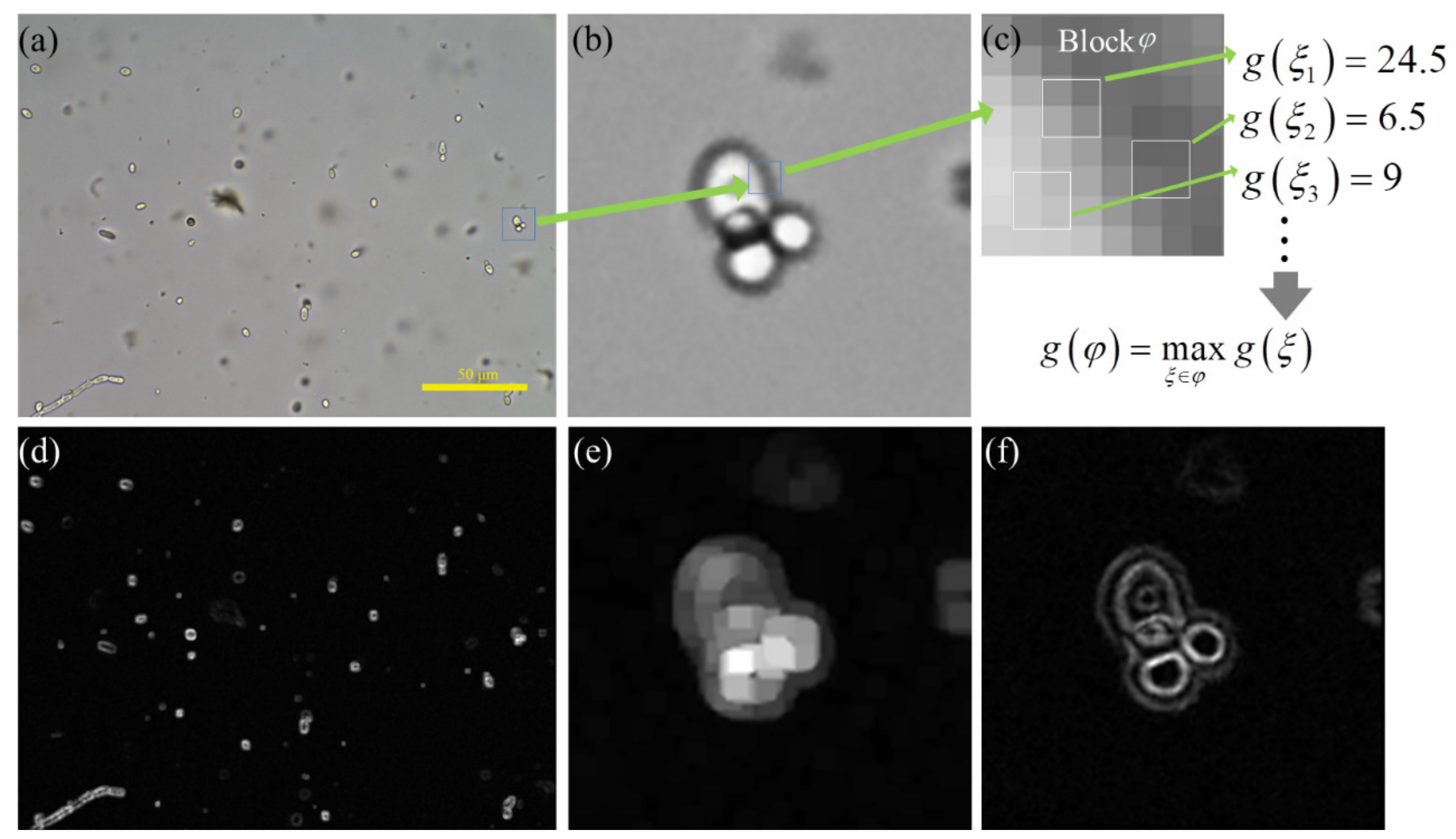 Applsci 11 10293 g002