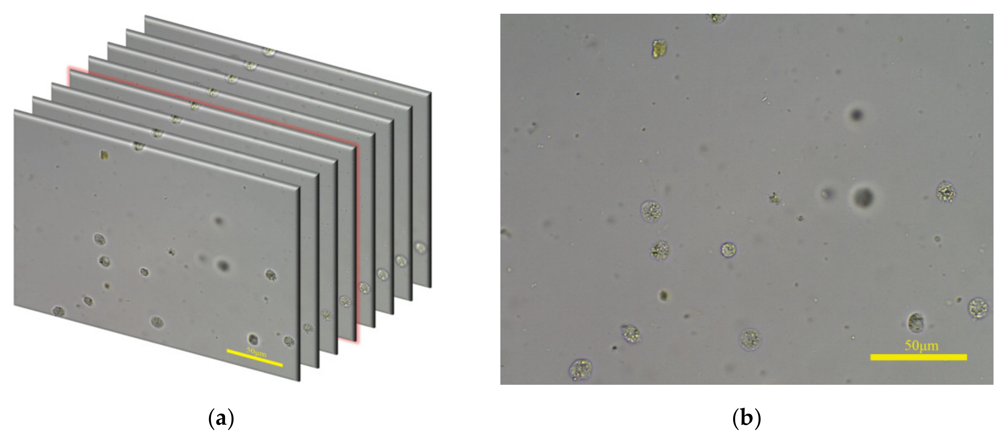 Applsci 11 10293 g005