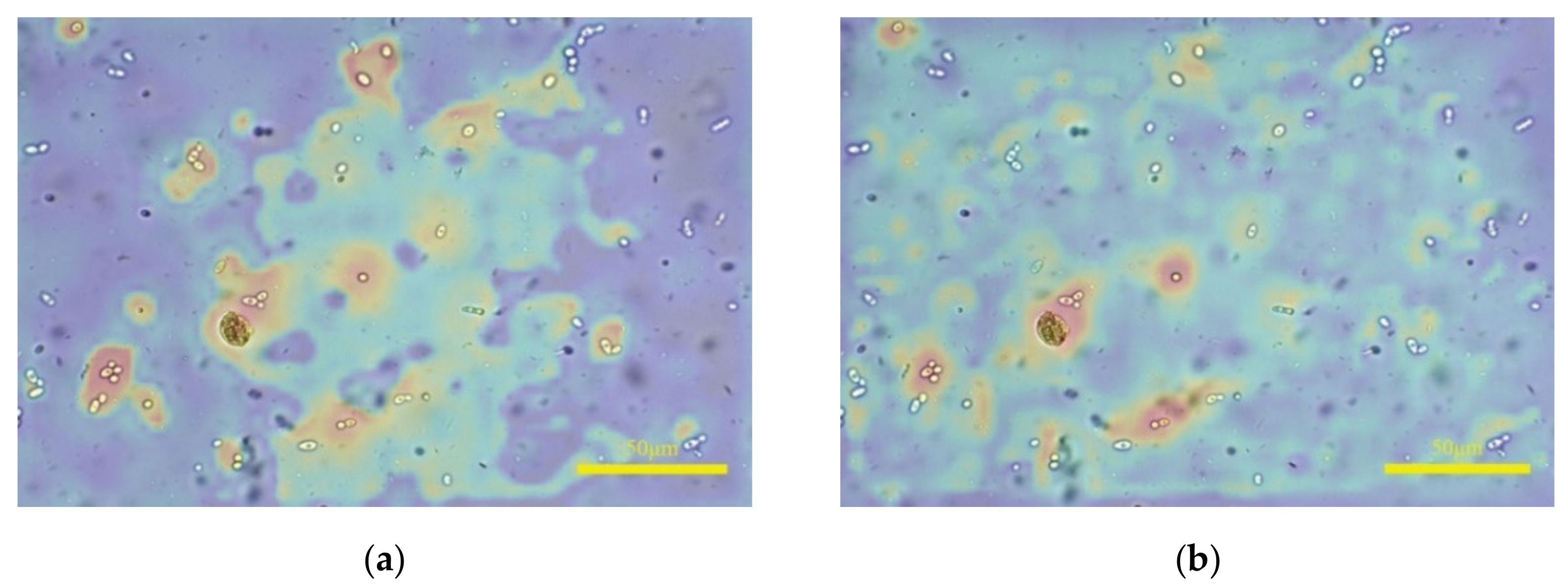 Applsci 11 10293 g008