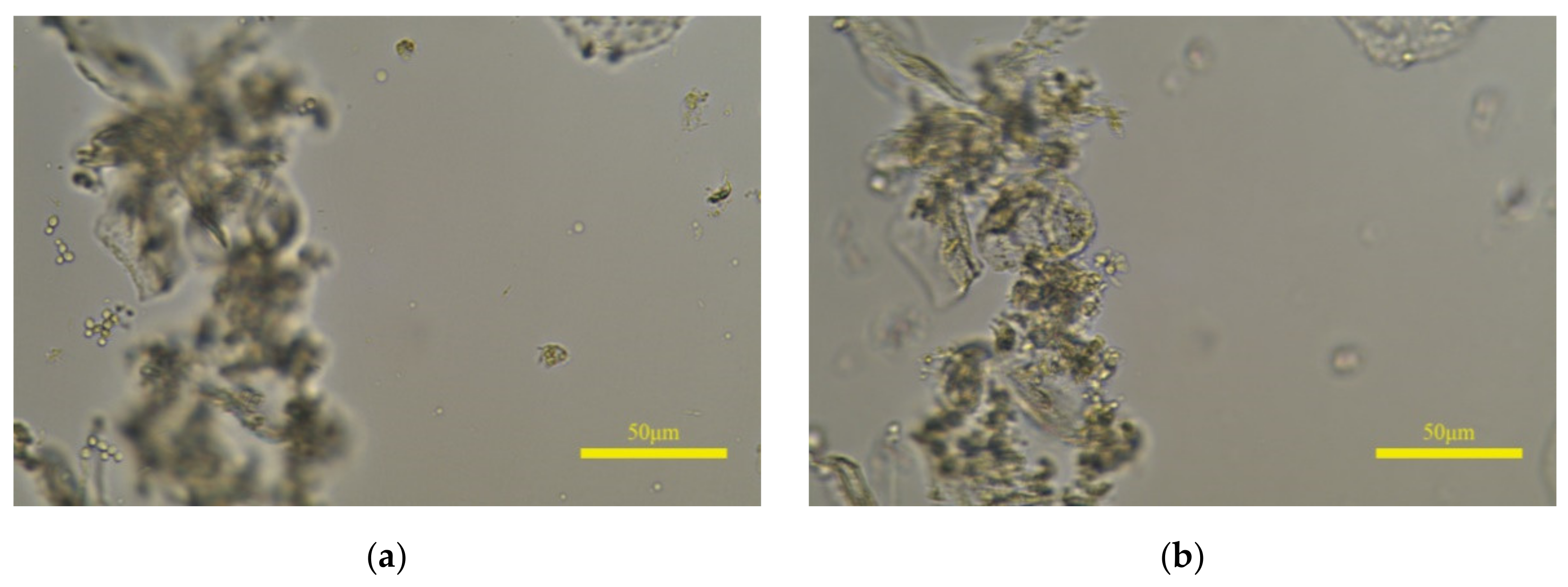 Applsci 11 10293 g012