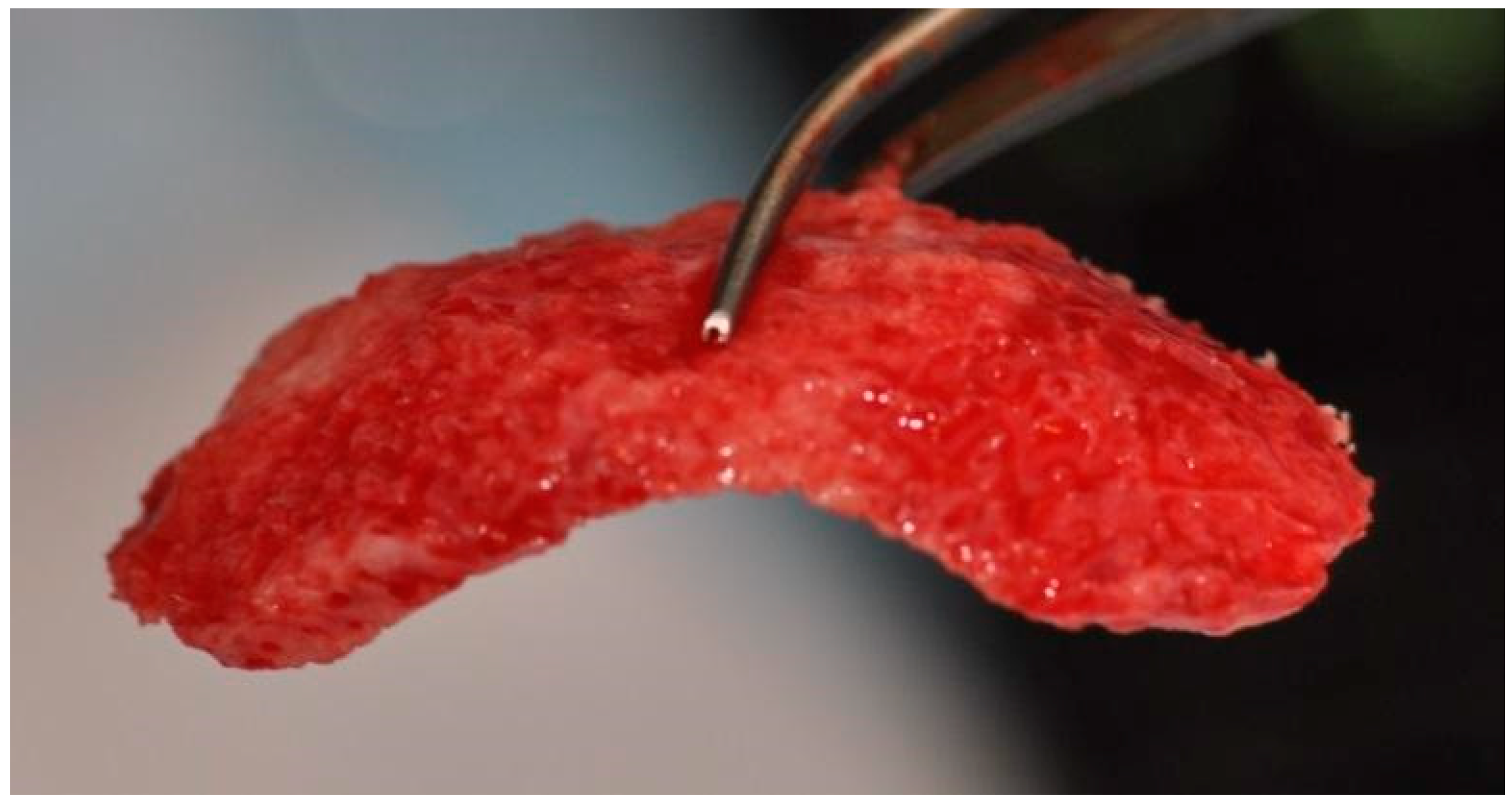 Applsci 11 10299 g006