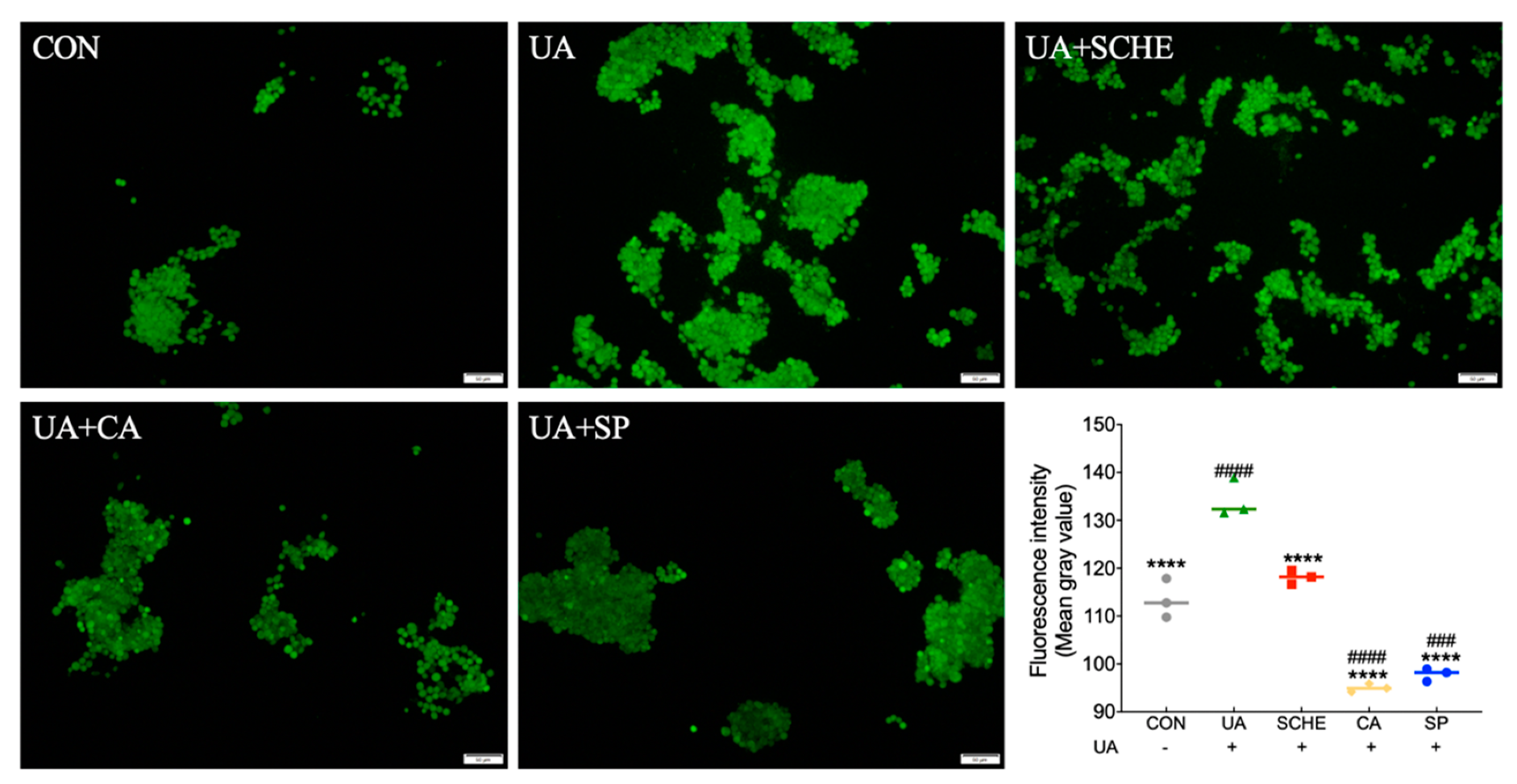 Applsci 11 10306 g003