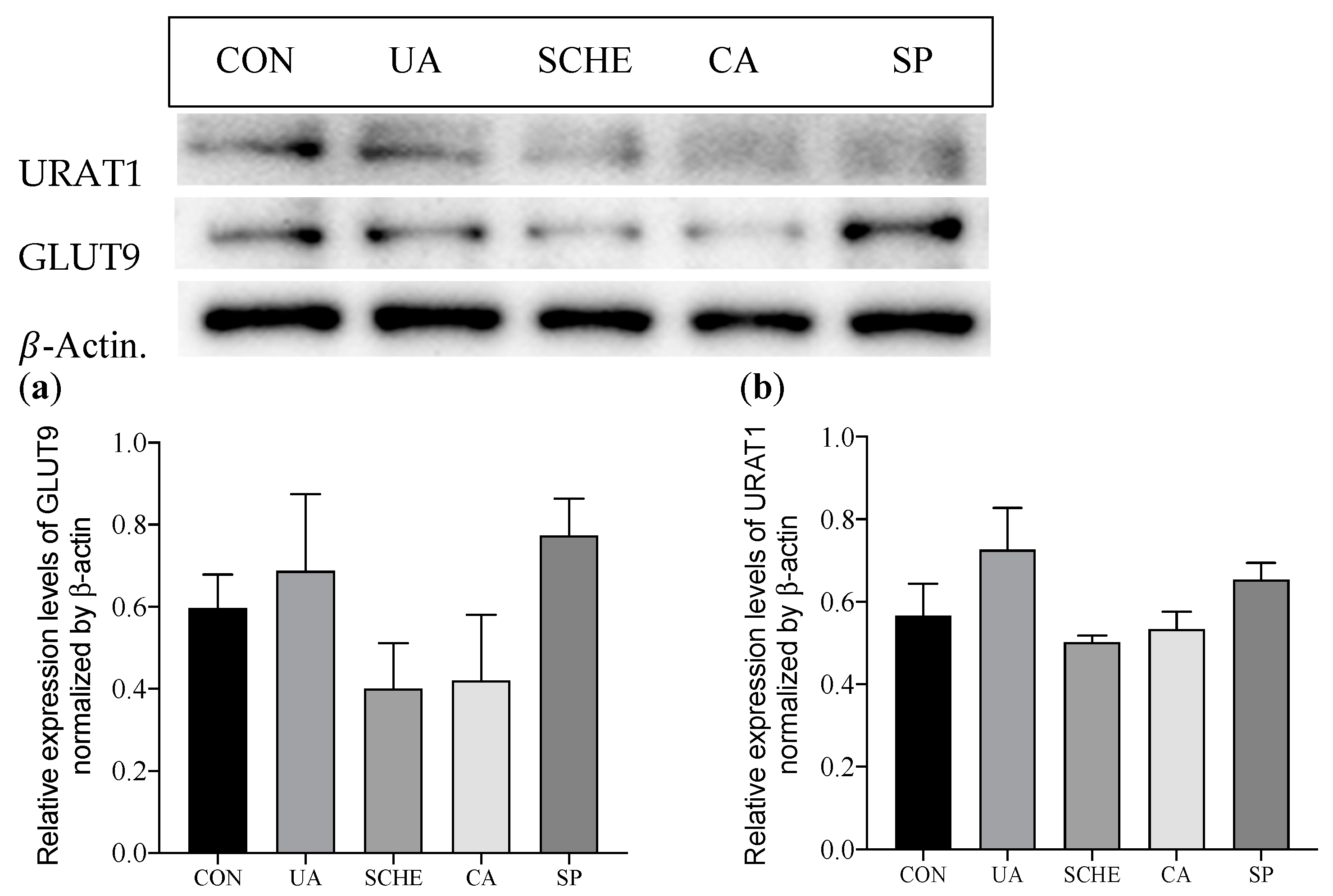 Applsci 11 10306 g004