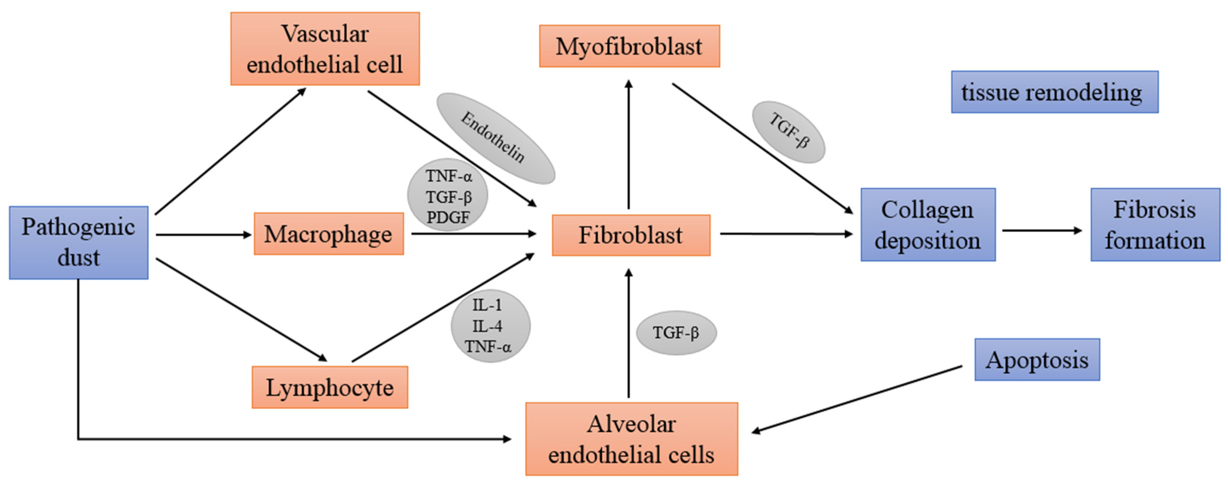 Applsci 11 10313 g001