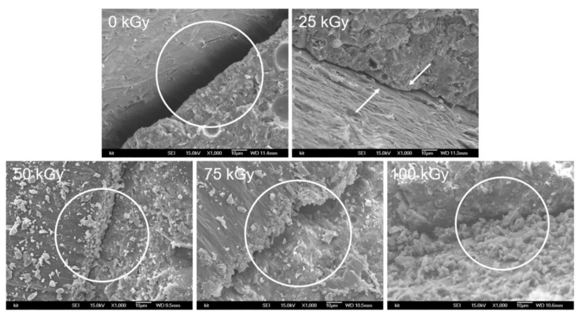 Applsci 11 10340 g013