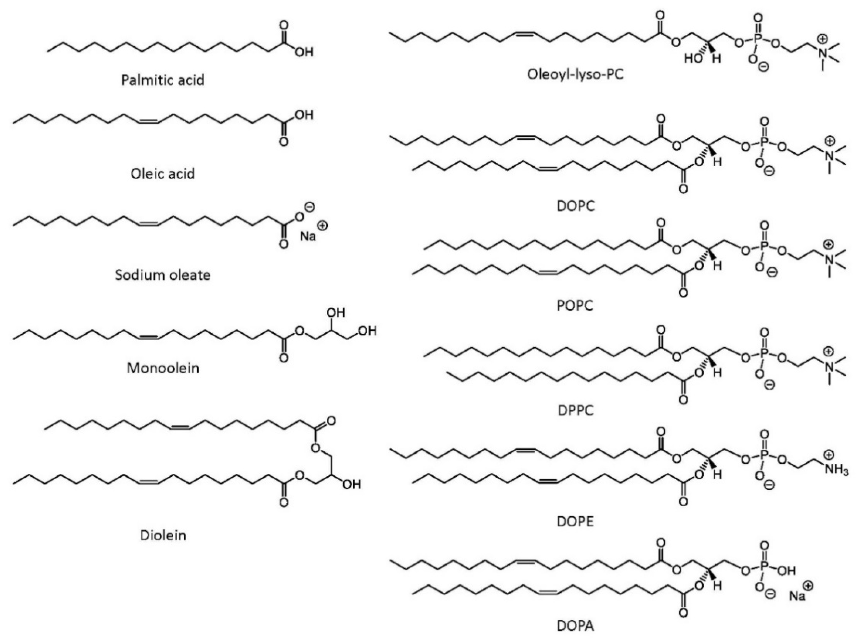 Applsci 11 10345 g002