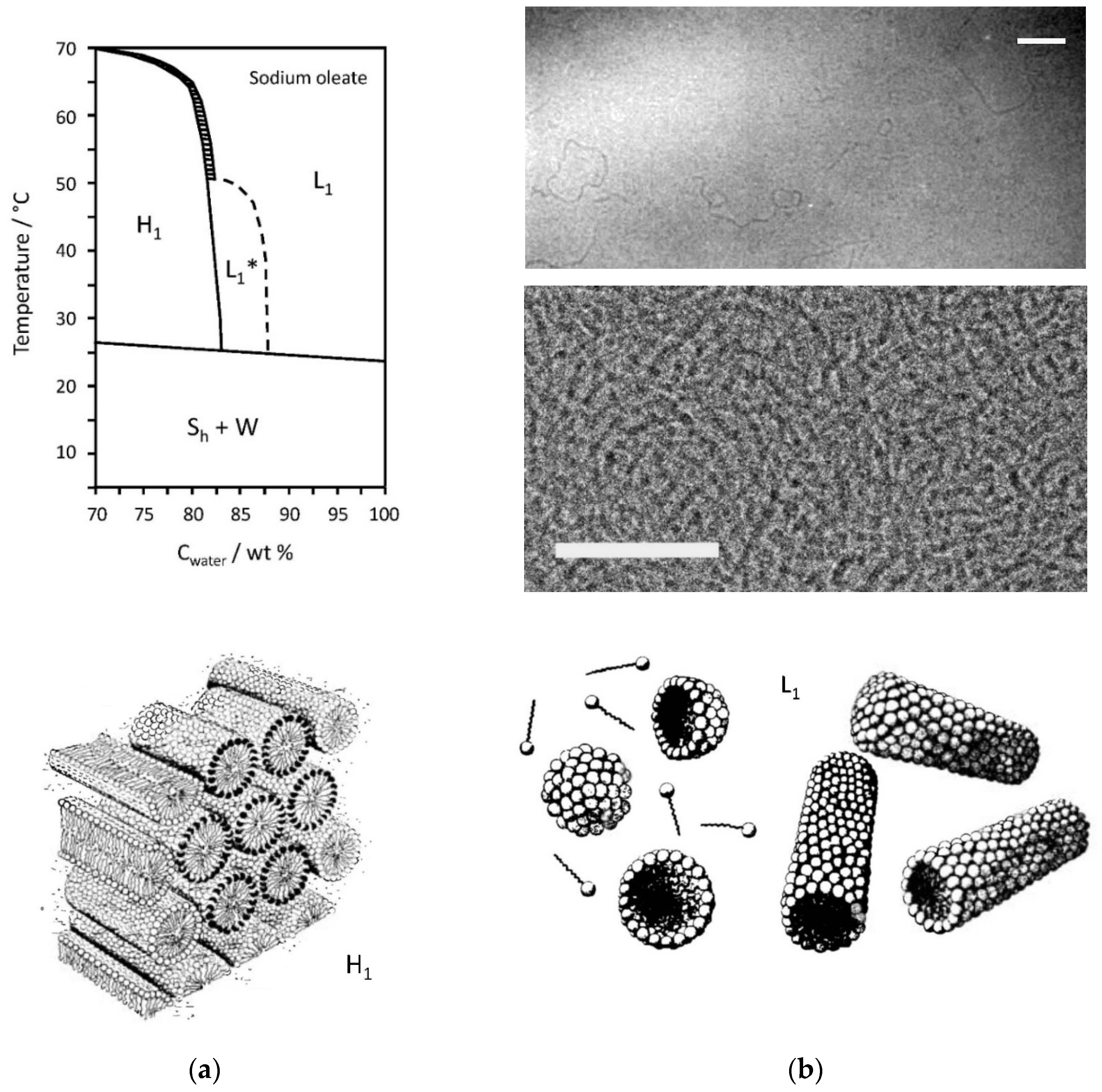Applsci 11 10345 g003