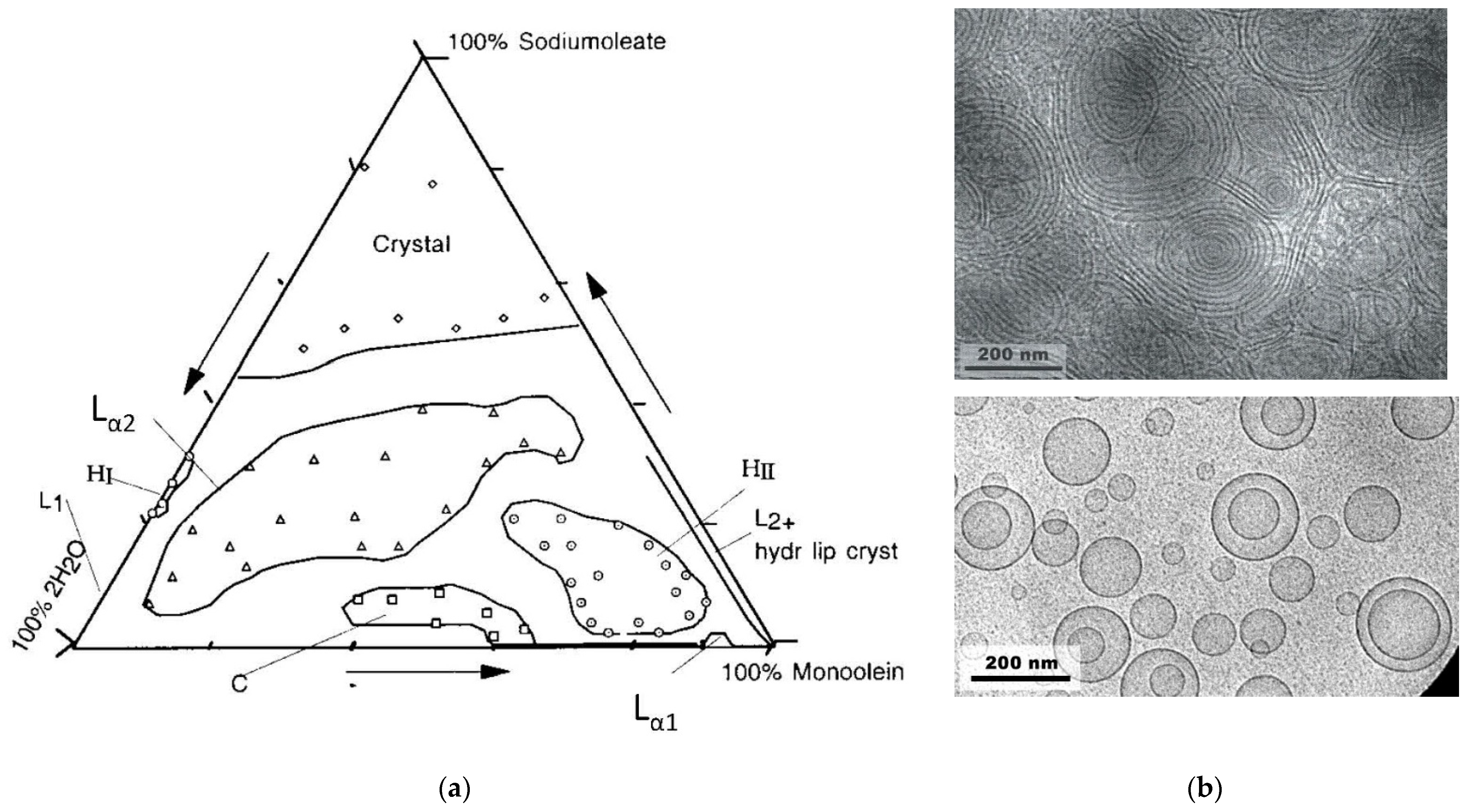 Applsci 11 10345 g007