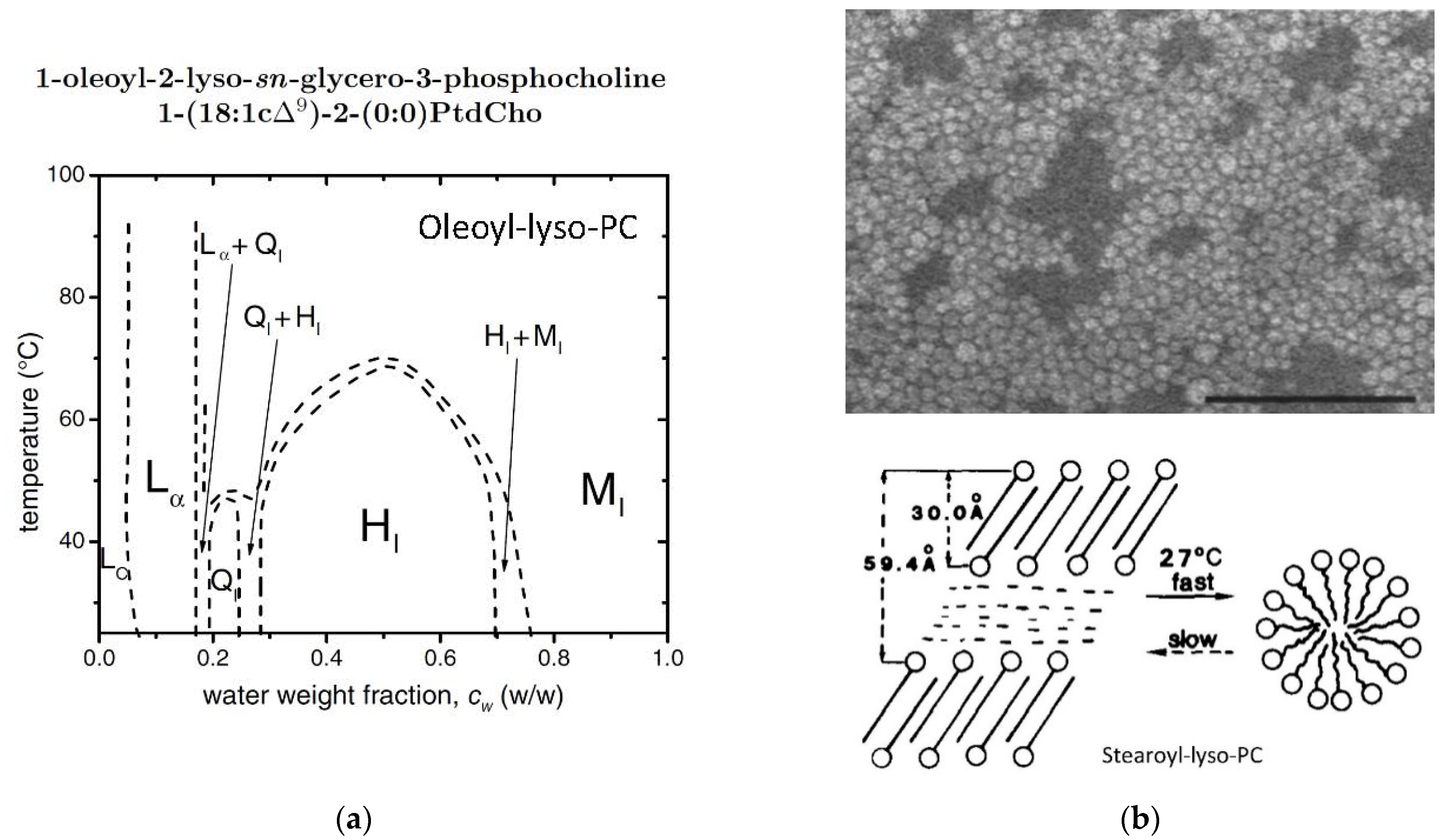 Applsci 11 10345 g009
