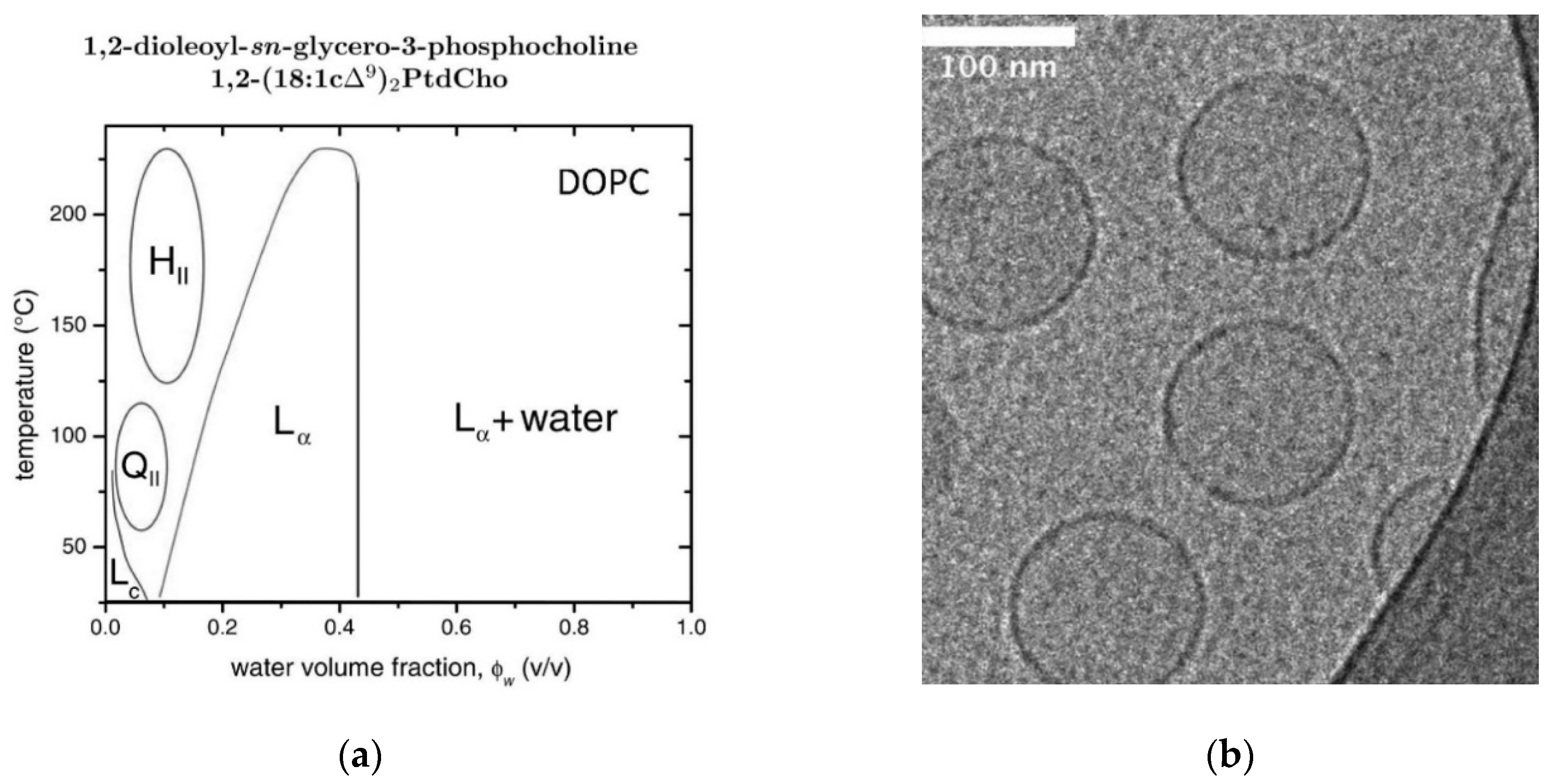 Applsci 11 10345 g010