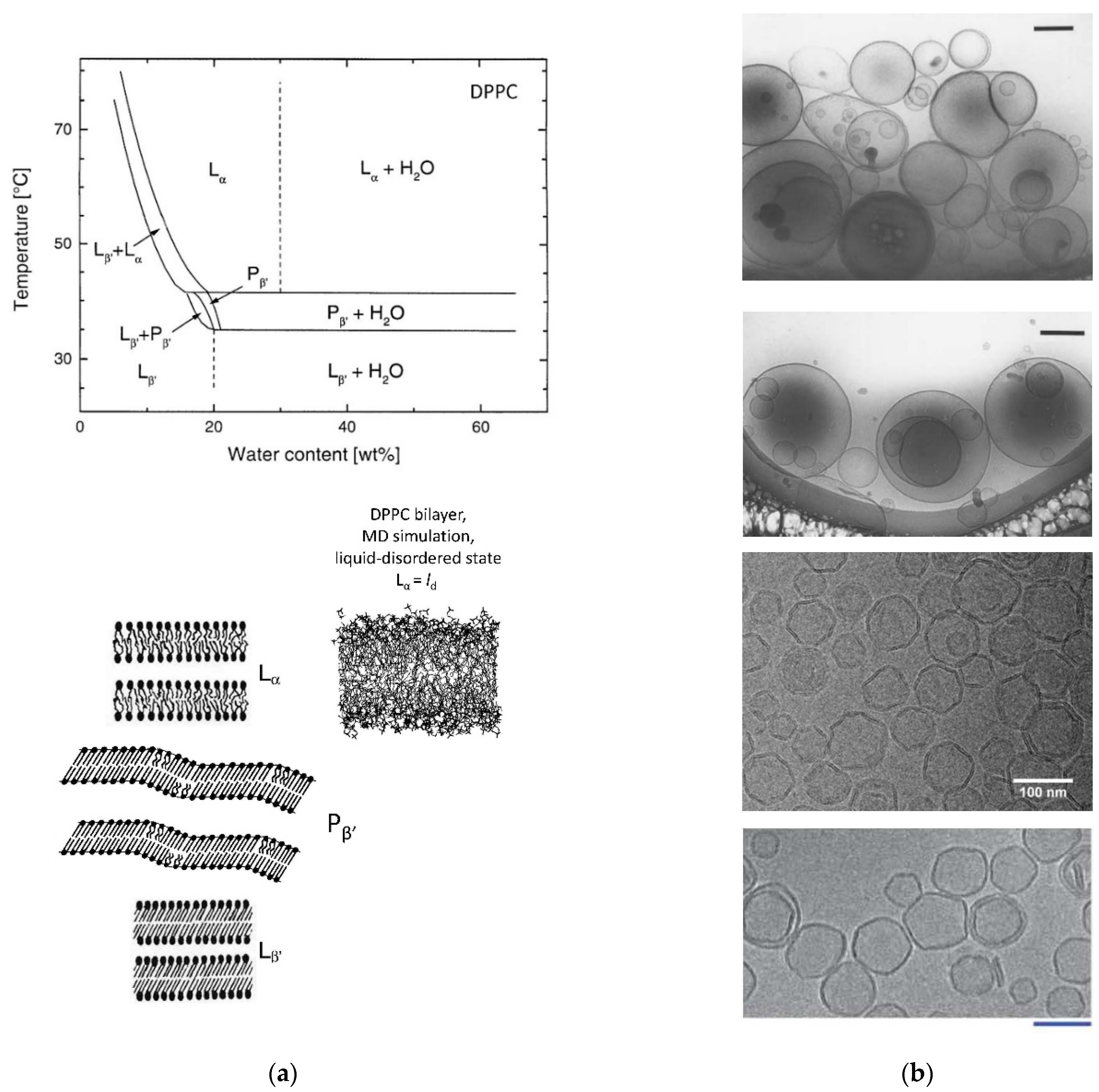 Applsci 11 10345 g012