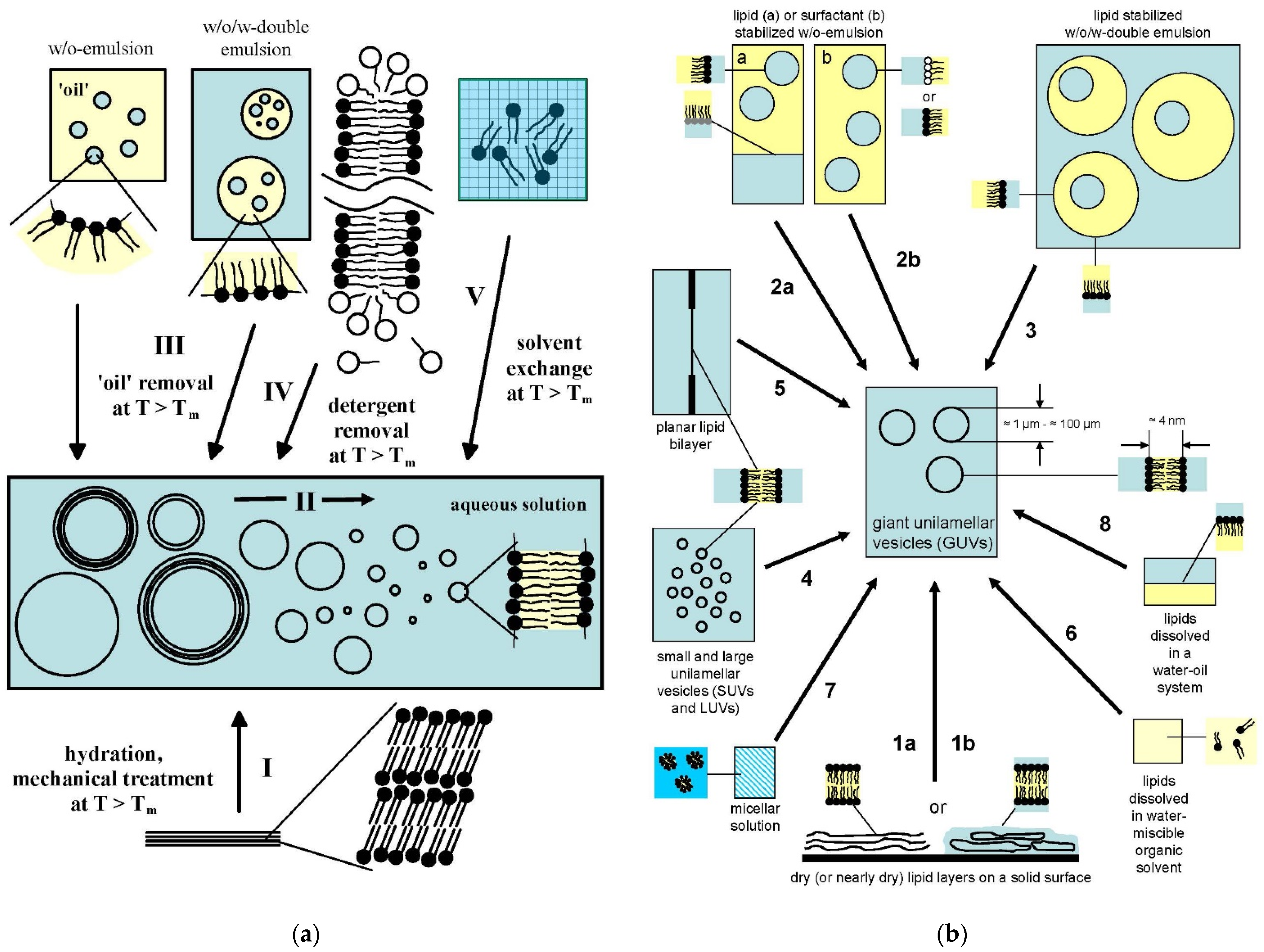 Applsci 11 10345 g017