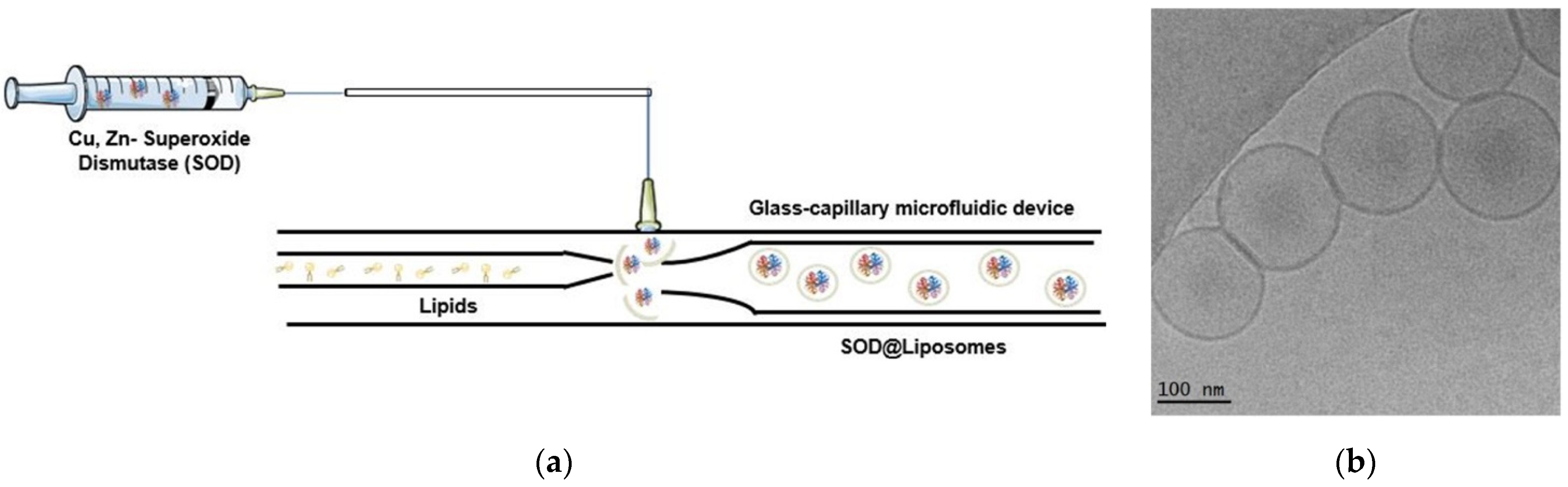 Applsci 11 10345 g019