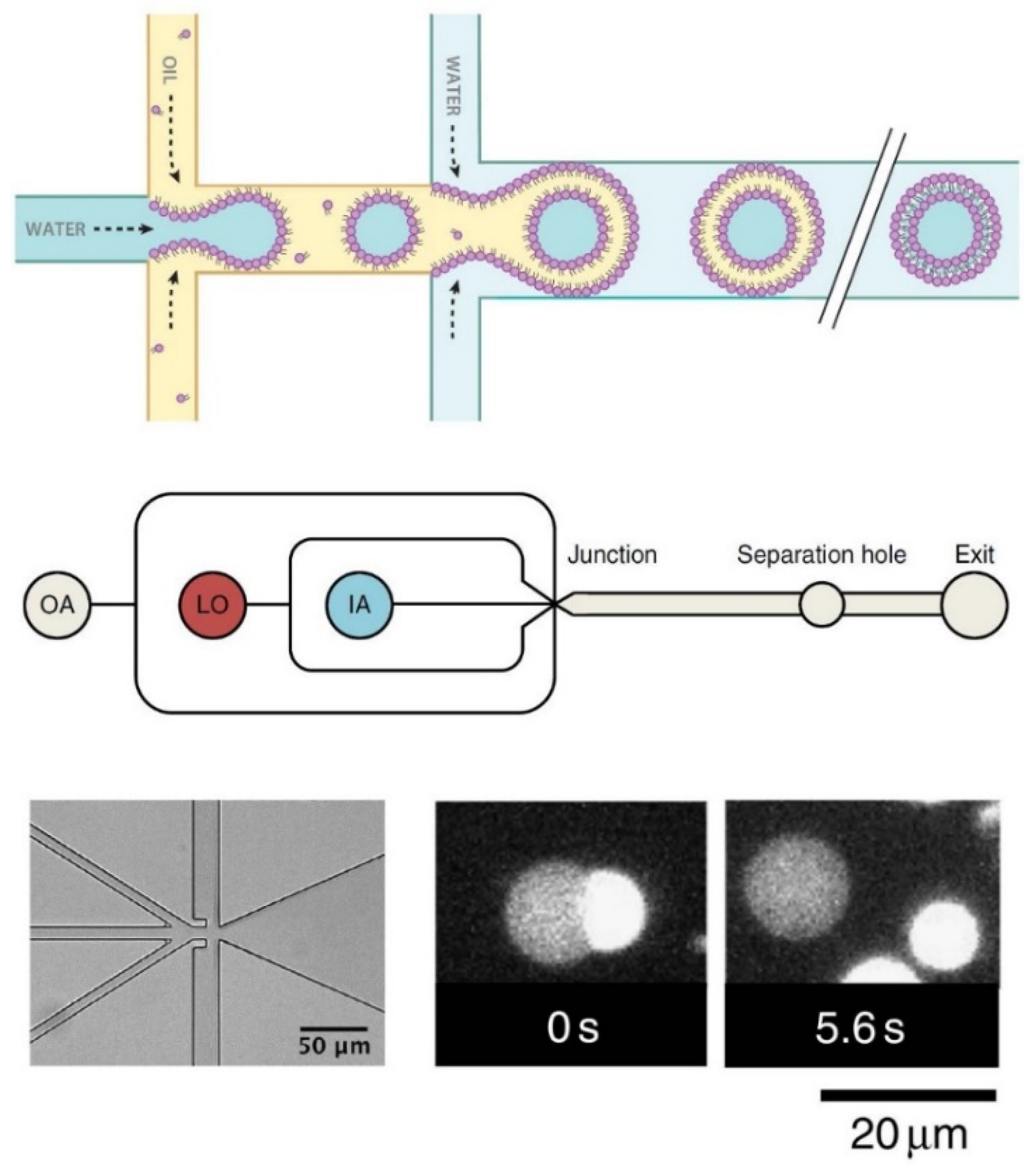 Applsci 11 10345 g020