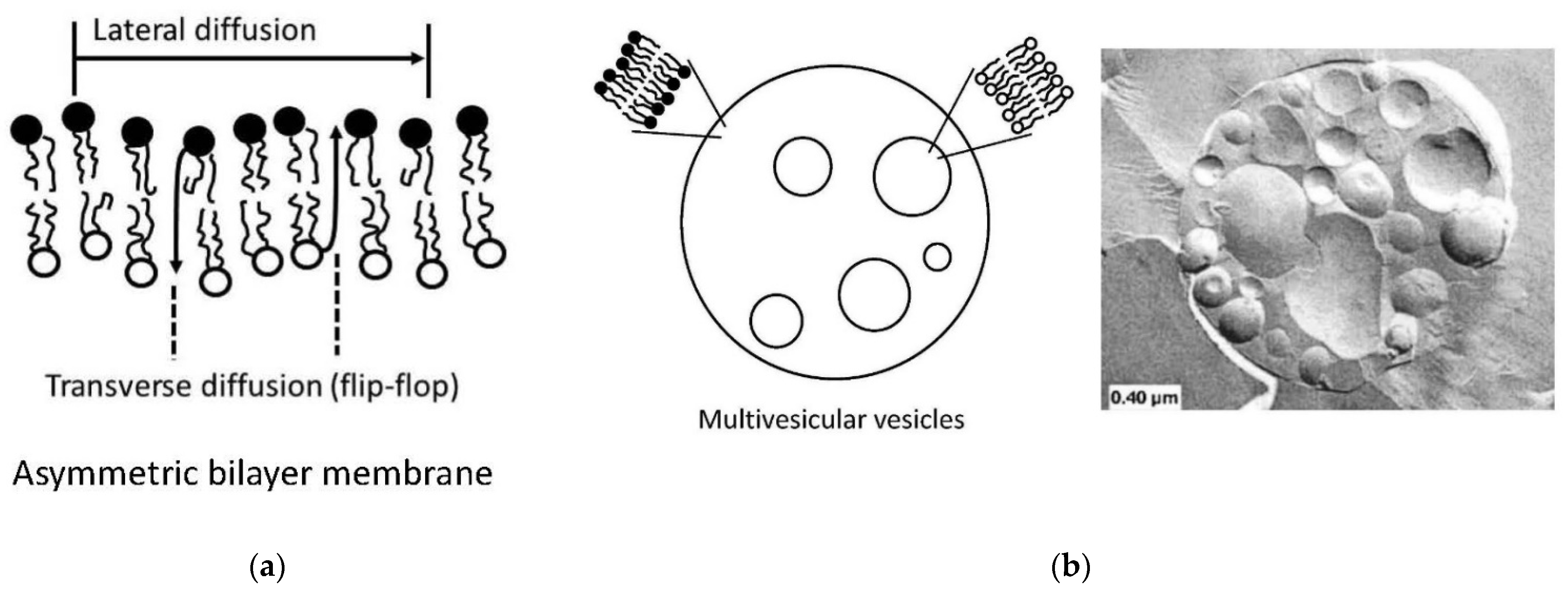 Applsci 11 10345 g021