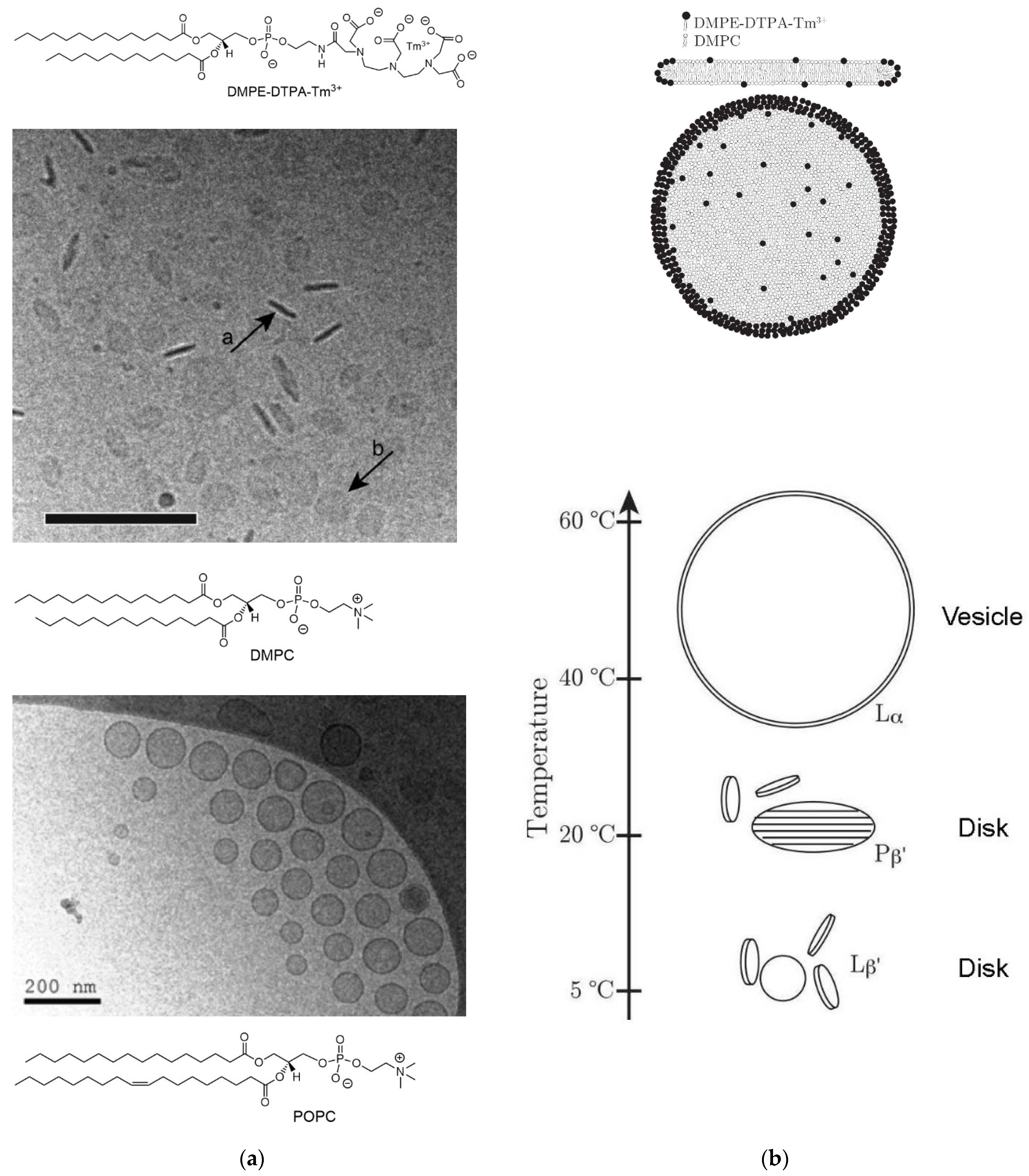 Applsci 11 10345 g023