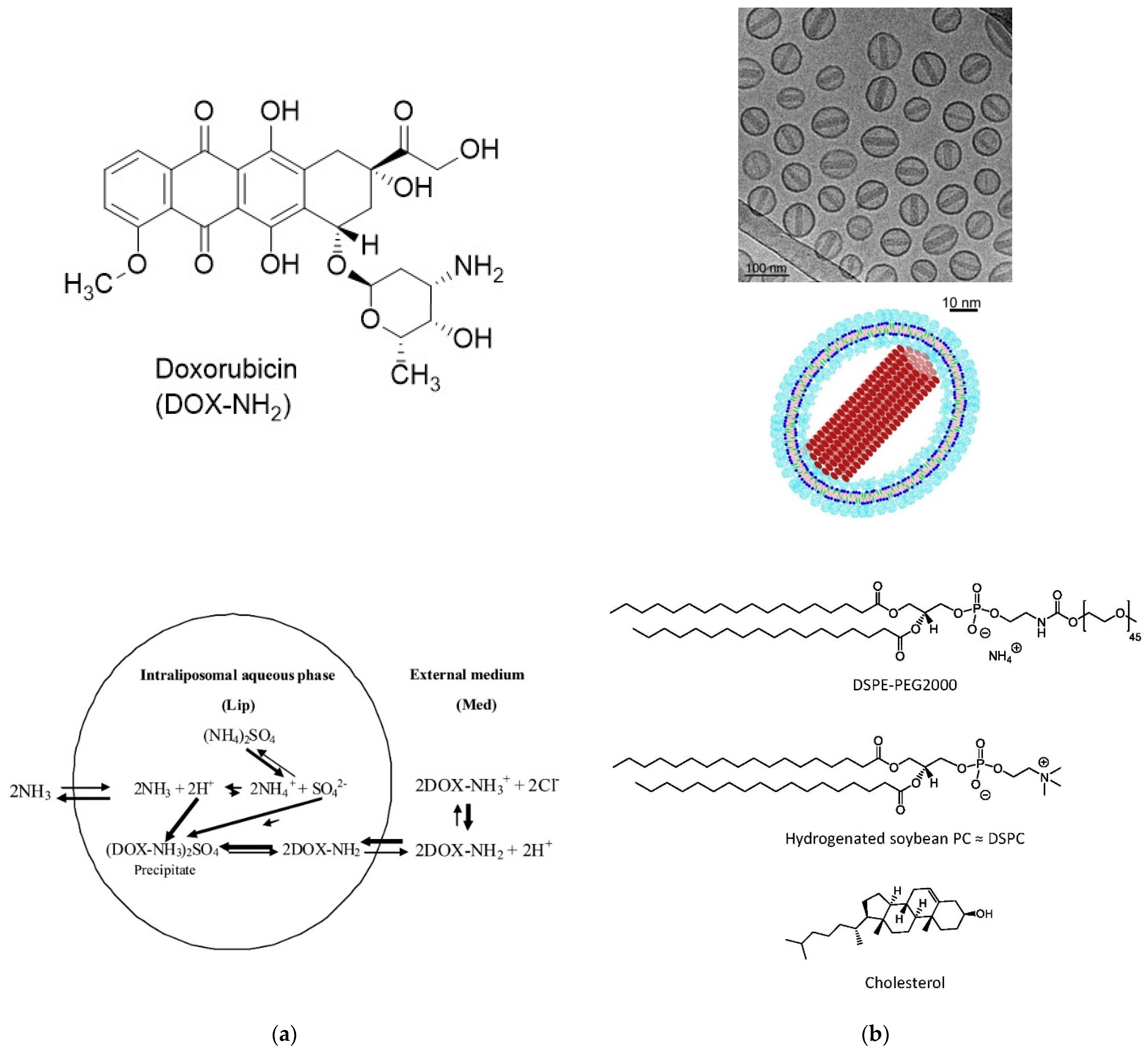 Applsci 11 10345 g025