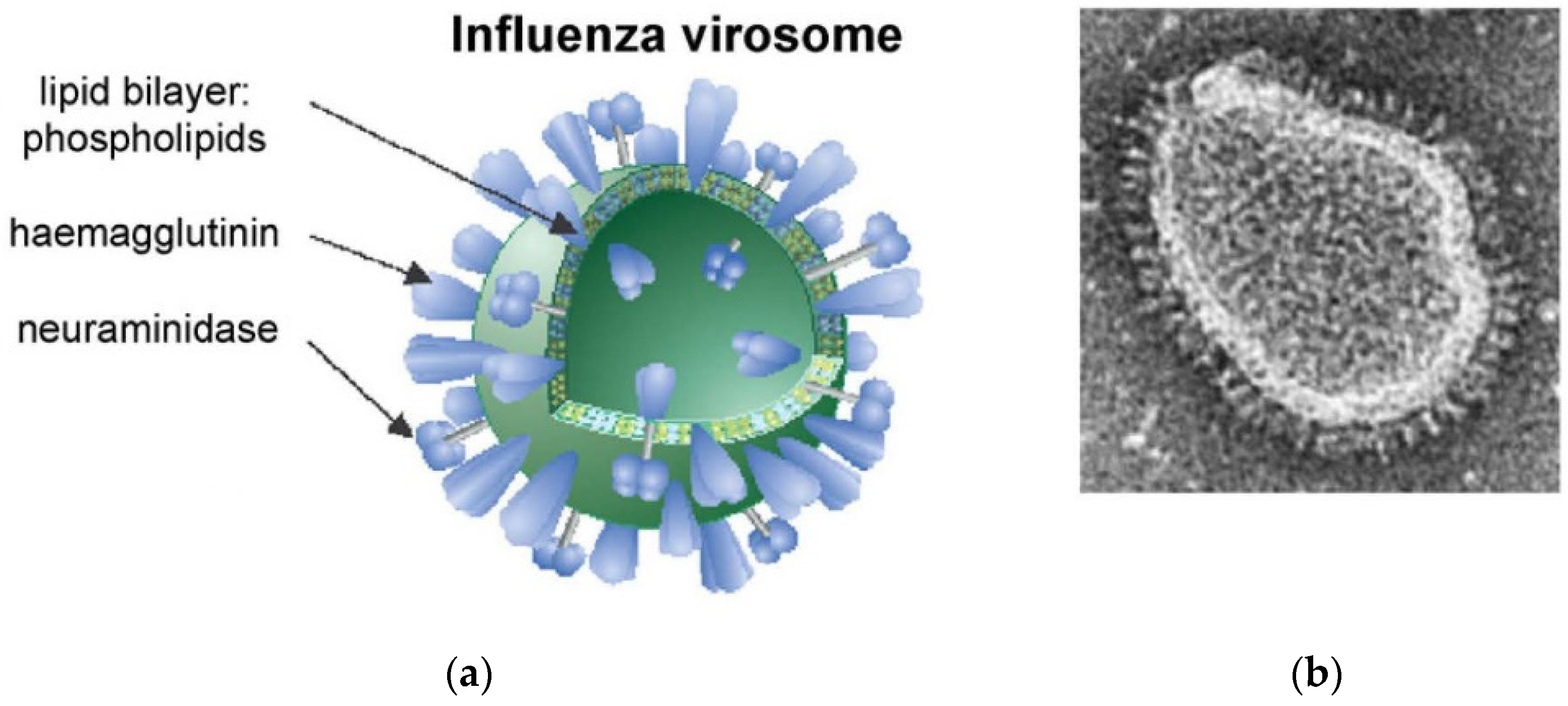 Applsci 11 10345 g027